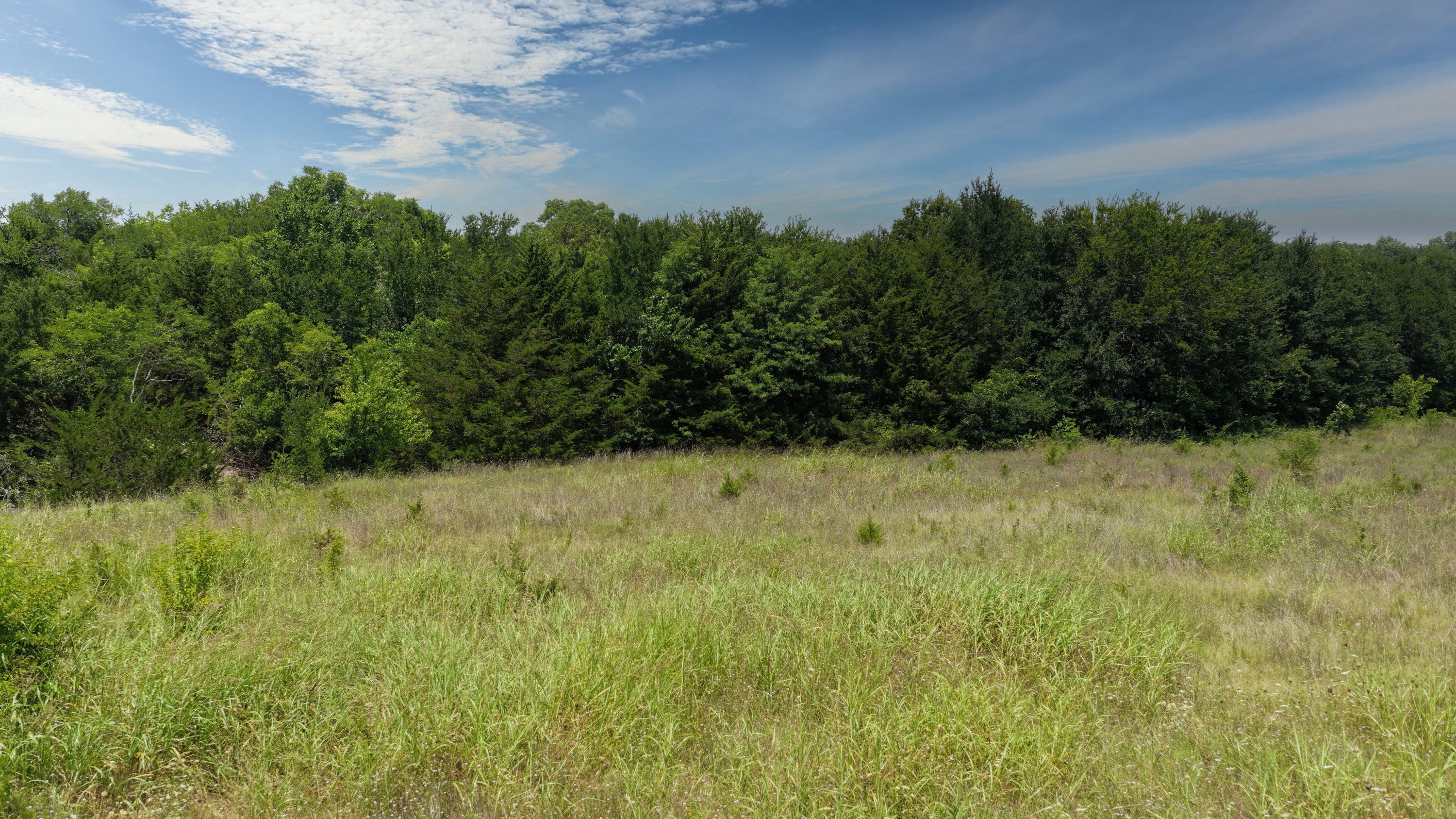  15 acres in Prime McKinney Corridor - 物件實景