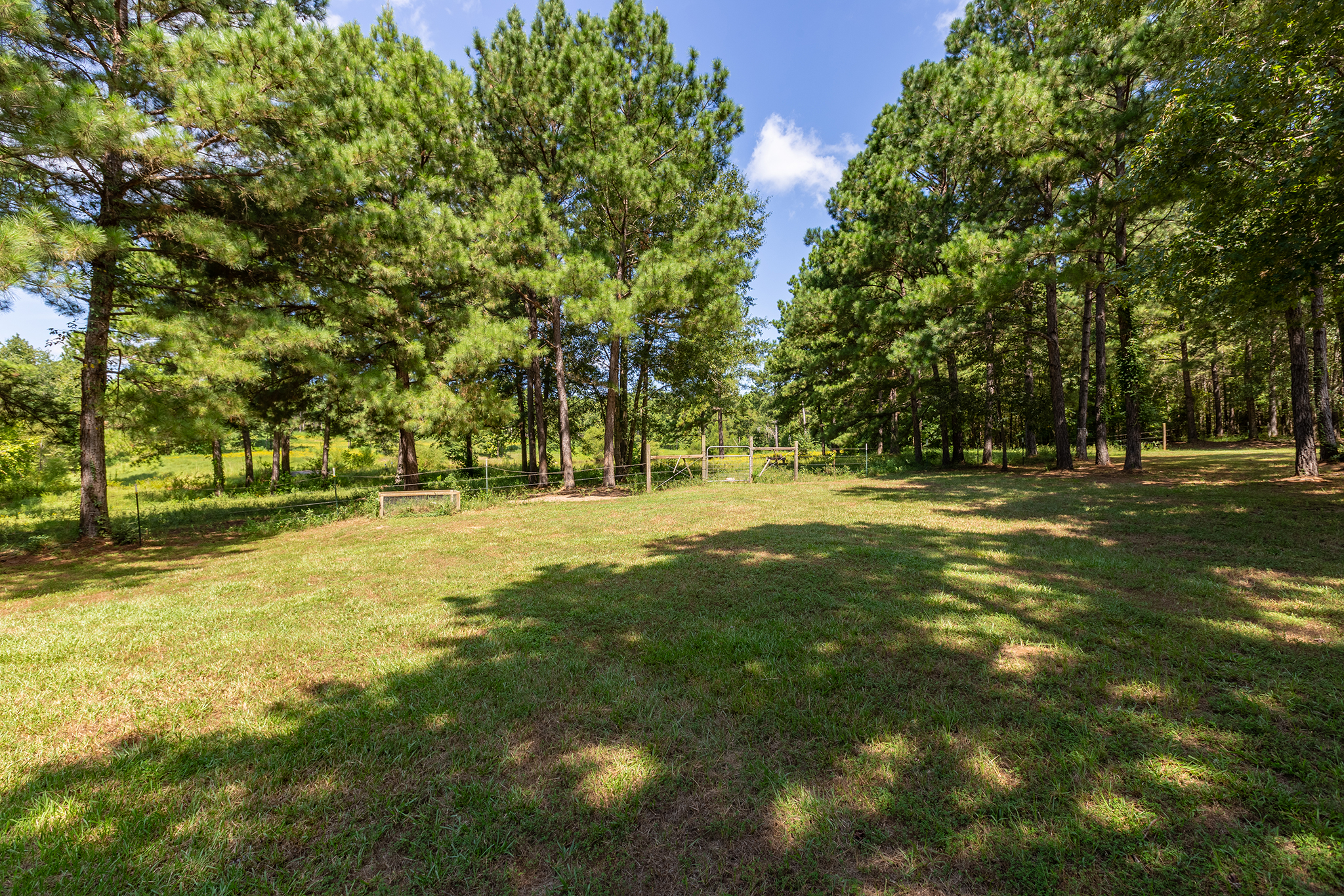Bronson, Texas, 75930, United States, 5 Bedrooms Bedrooms, ,4 BathroomsBathrooms,Residential,For Sale,1944526