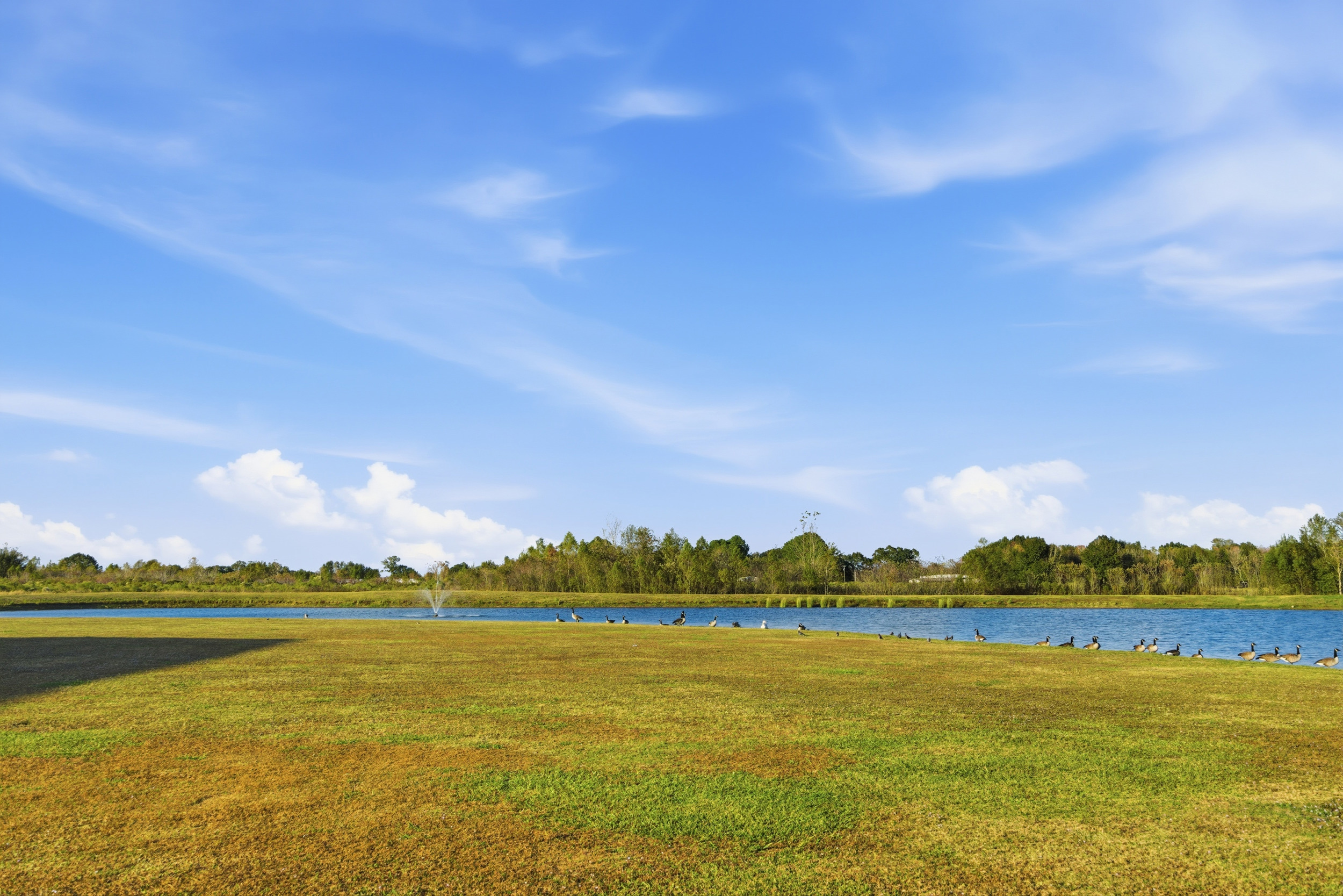 Scott, Louisiana, 70583, United States, 4 Bedrooms Bedrooms, ,3 BathroomsBathrooms,Residential,For Sale,2002633