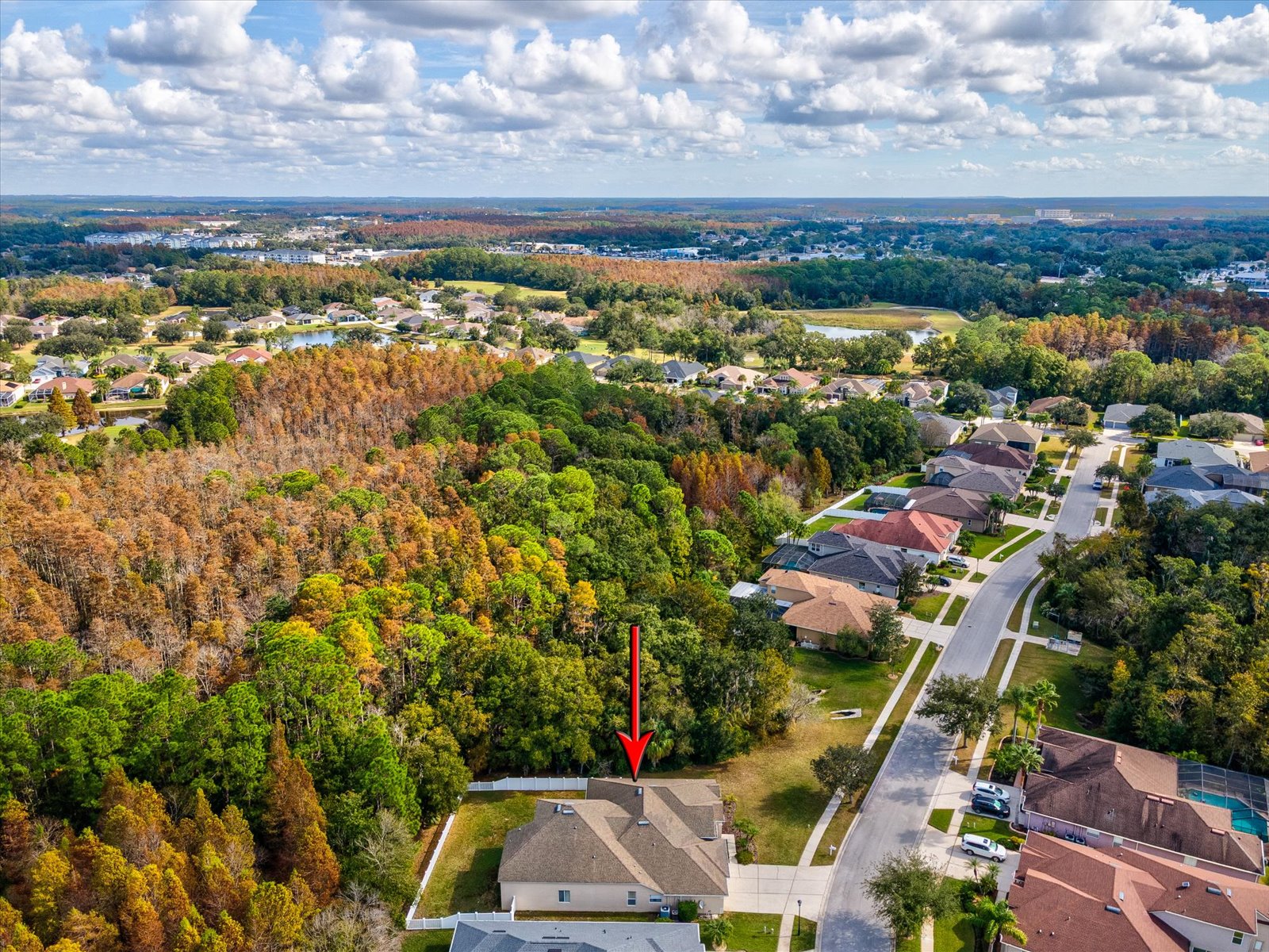 Wesley Chapel, Florida, 33544, United States, 4 Bedrooms Bedrooms, ,5 BathroomsBathrooms,Residential,For Sale,2000097
