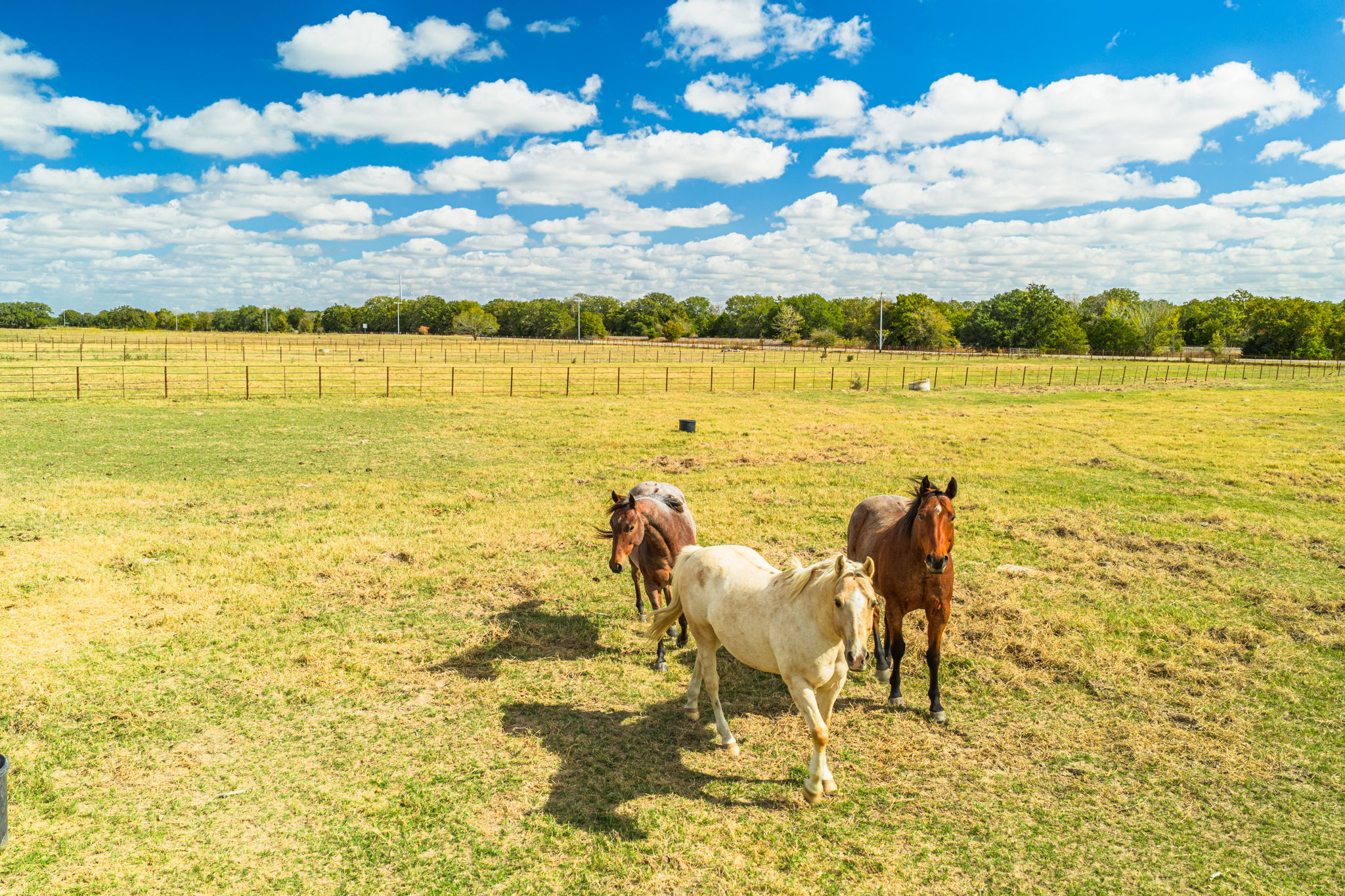  Bar Nothing Ranch, Fayette County - 物件實景