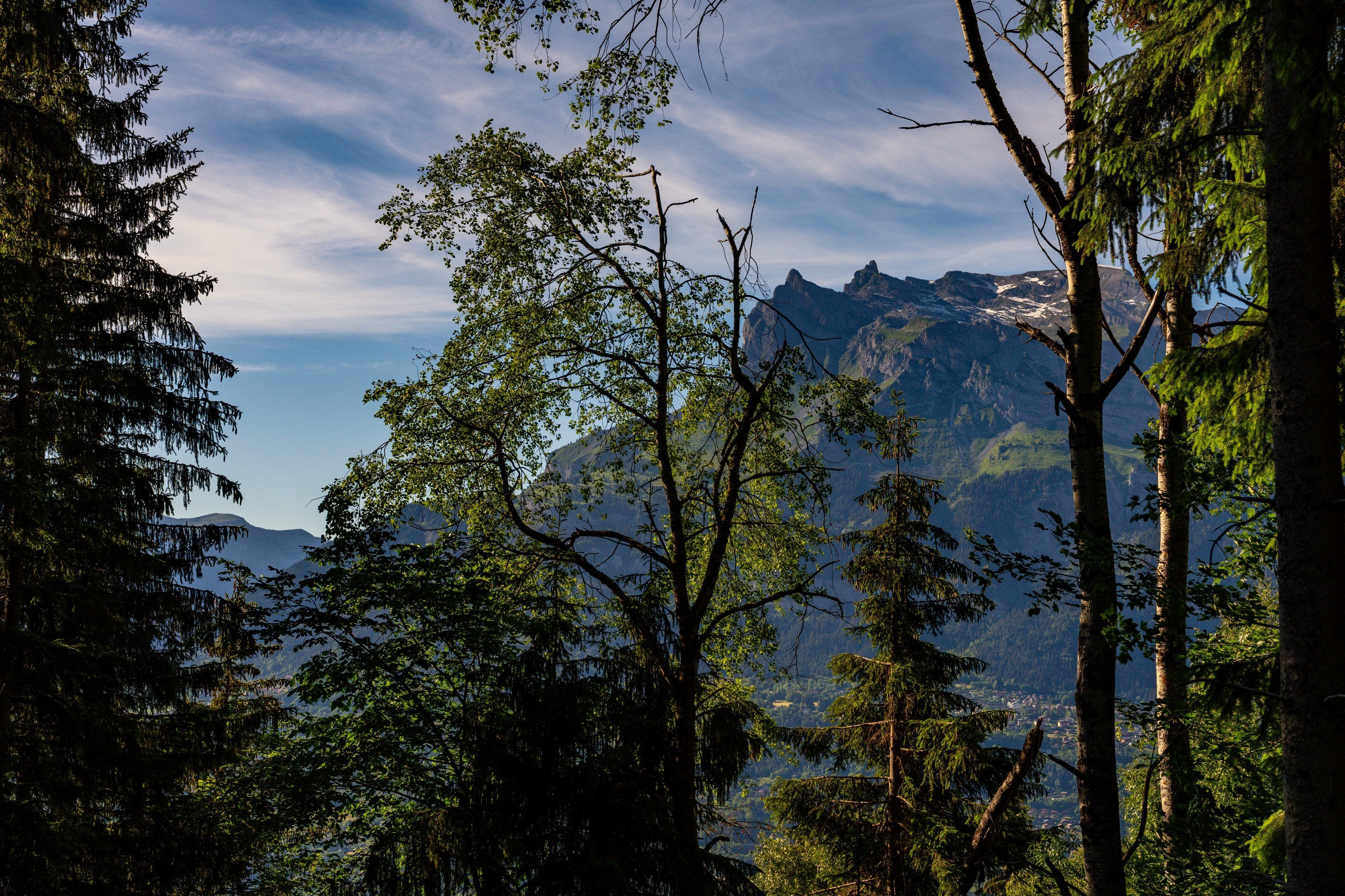  EXCLUSIVITY - CHALET DIANE - 物件實景
