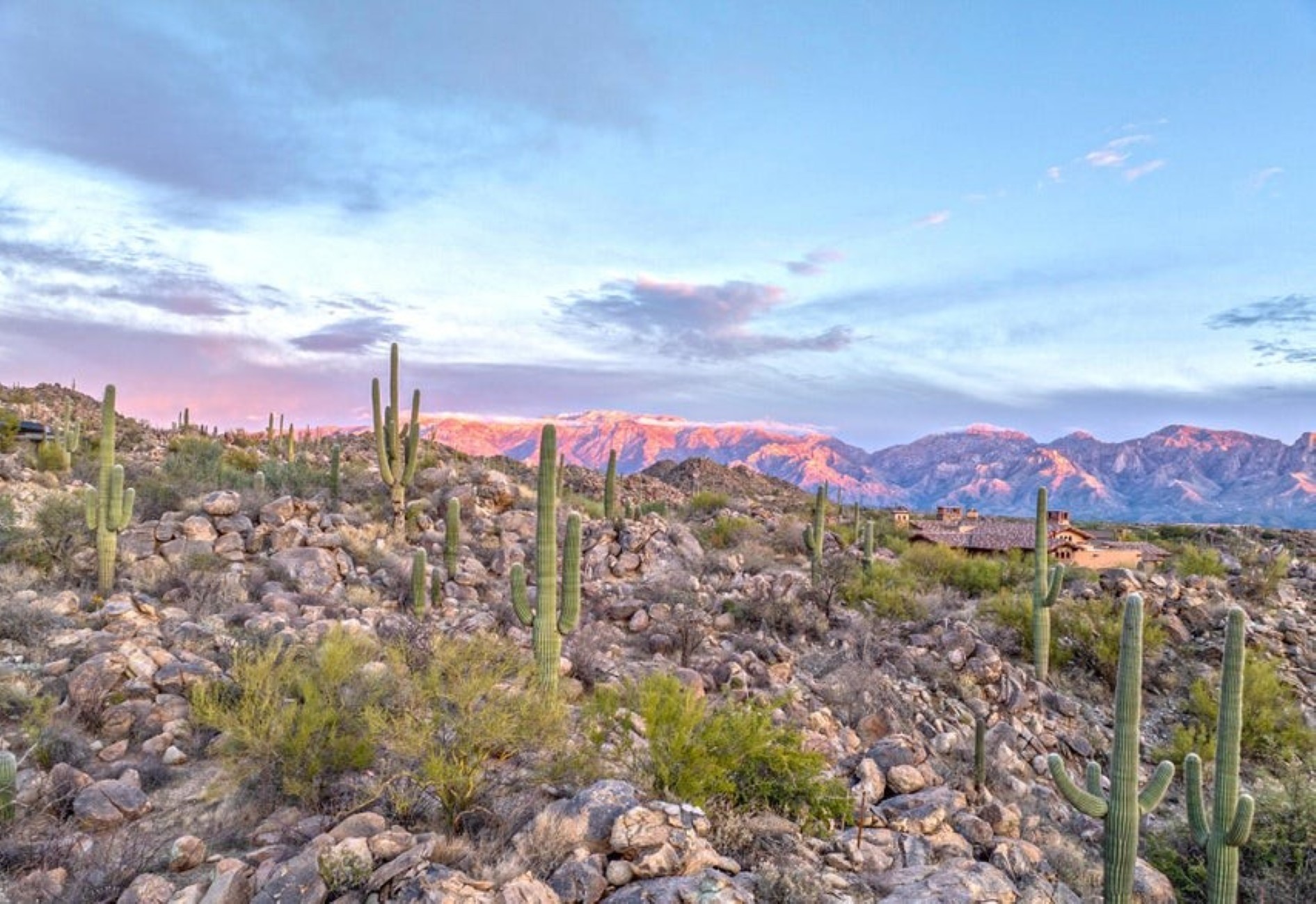  1178 Tortolita Mountain Circle 196¦Oro Valley, AZ - 物件實景