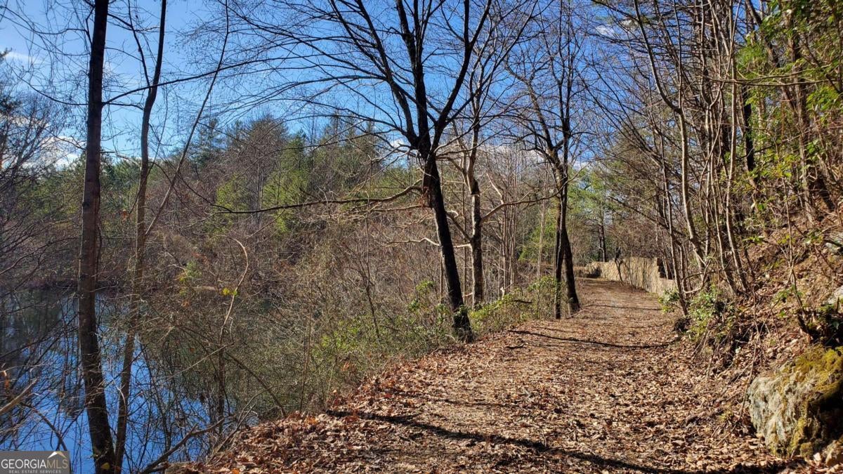 Cherry Log, Georgia, 30522, United States, ,Land,For Sale,1859131