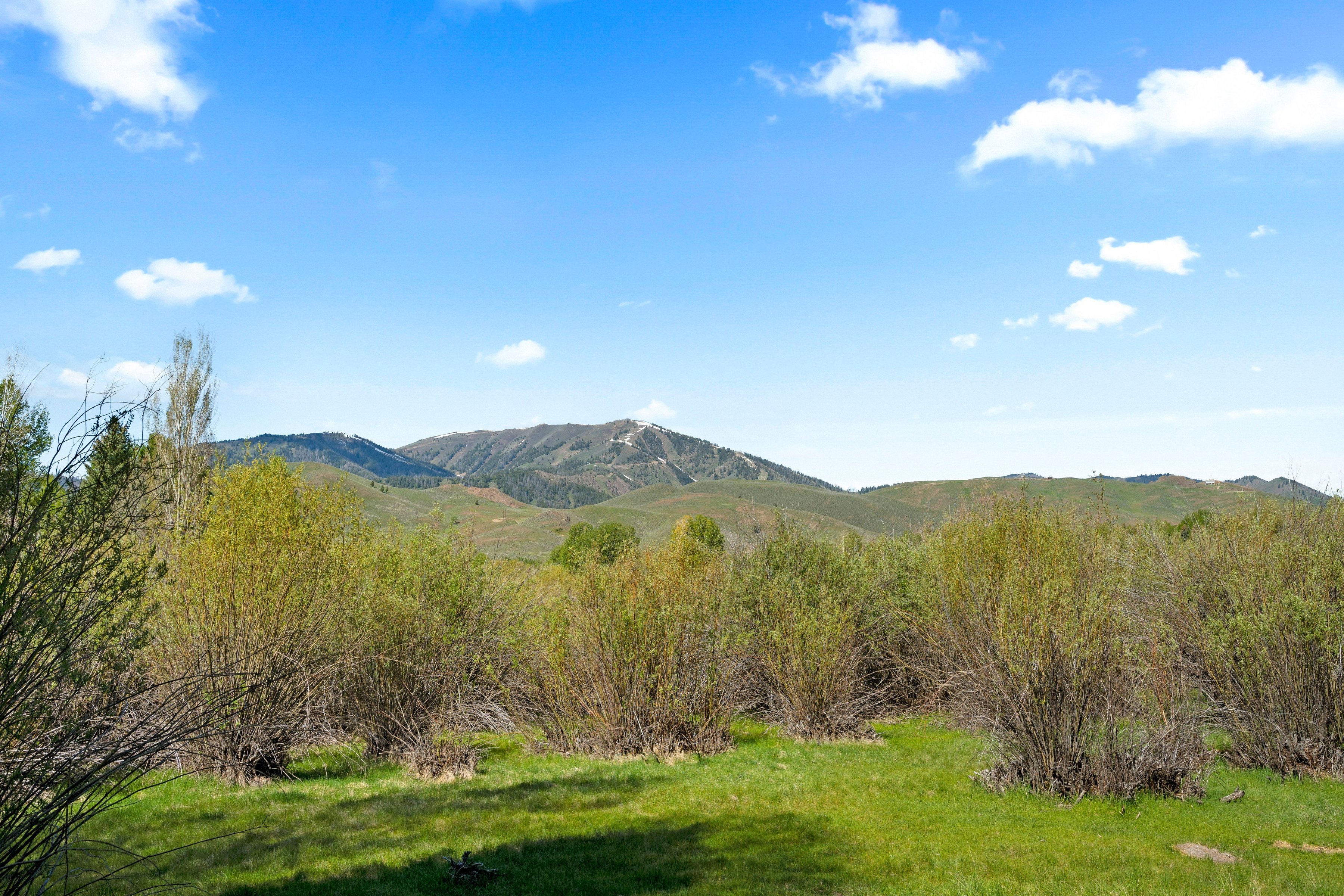  Timeless Sun Valley Living with Unobstructed Baldy Views - 物件實景