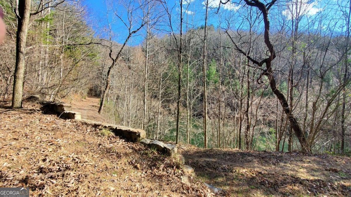 Cherry Log, Georgia, 30522, United States, ,Land,For Sale,1859131