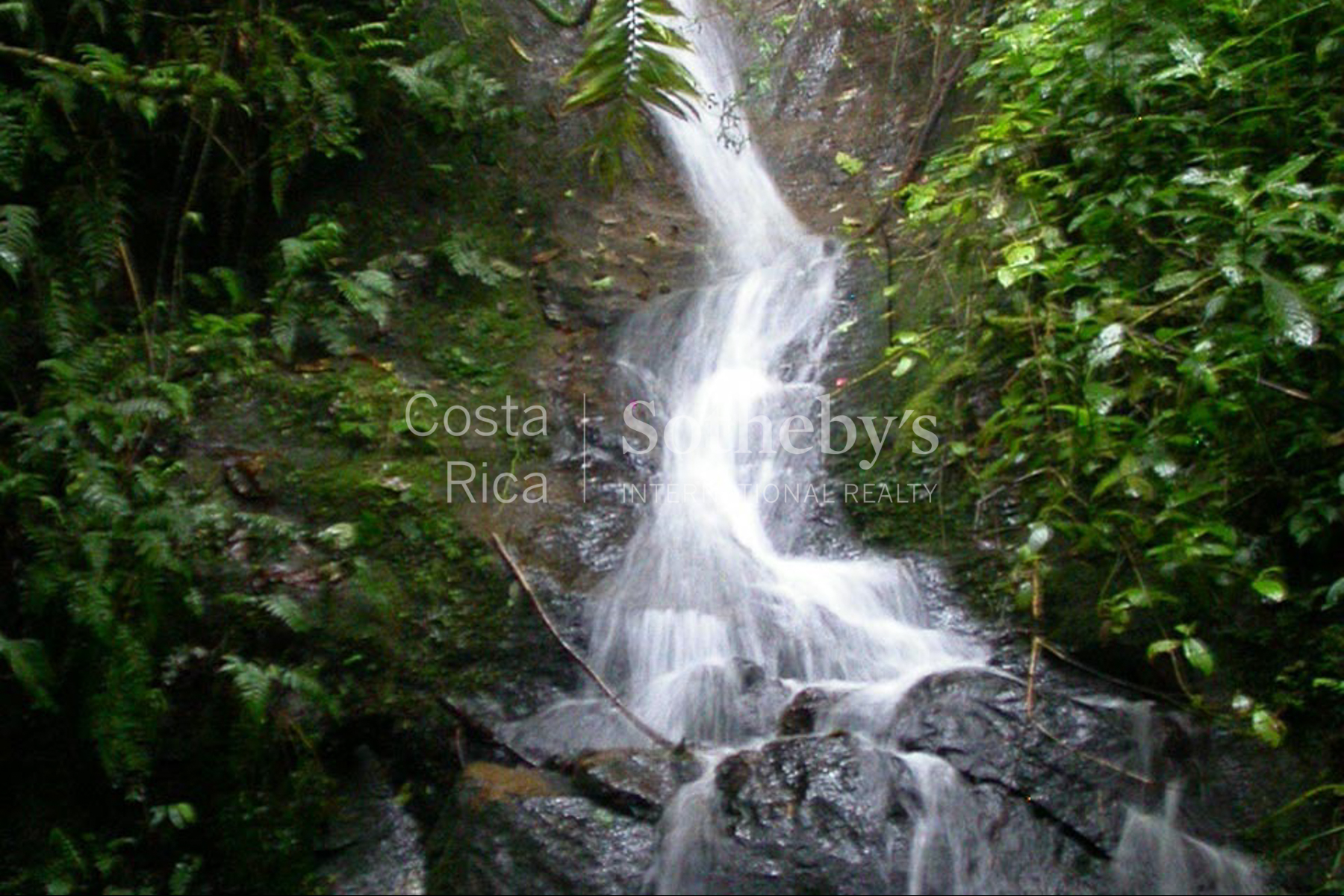  Centro Científico para la Conservación Bosque de Paz - 物件實景