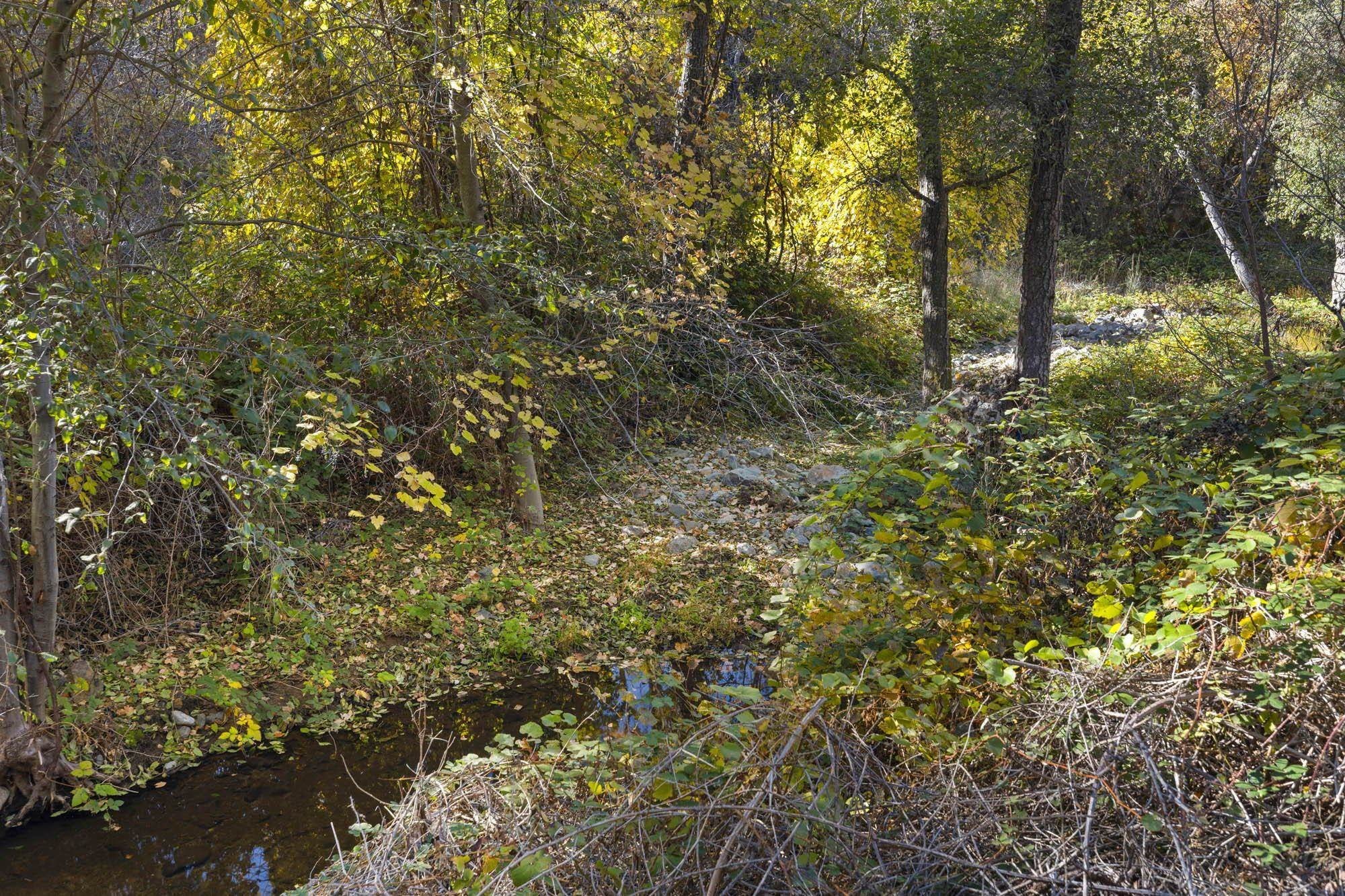 Sonora, California, 95370, United States, ,Residential,For Sale,2010802