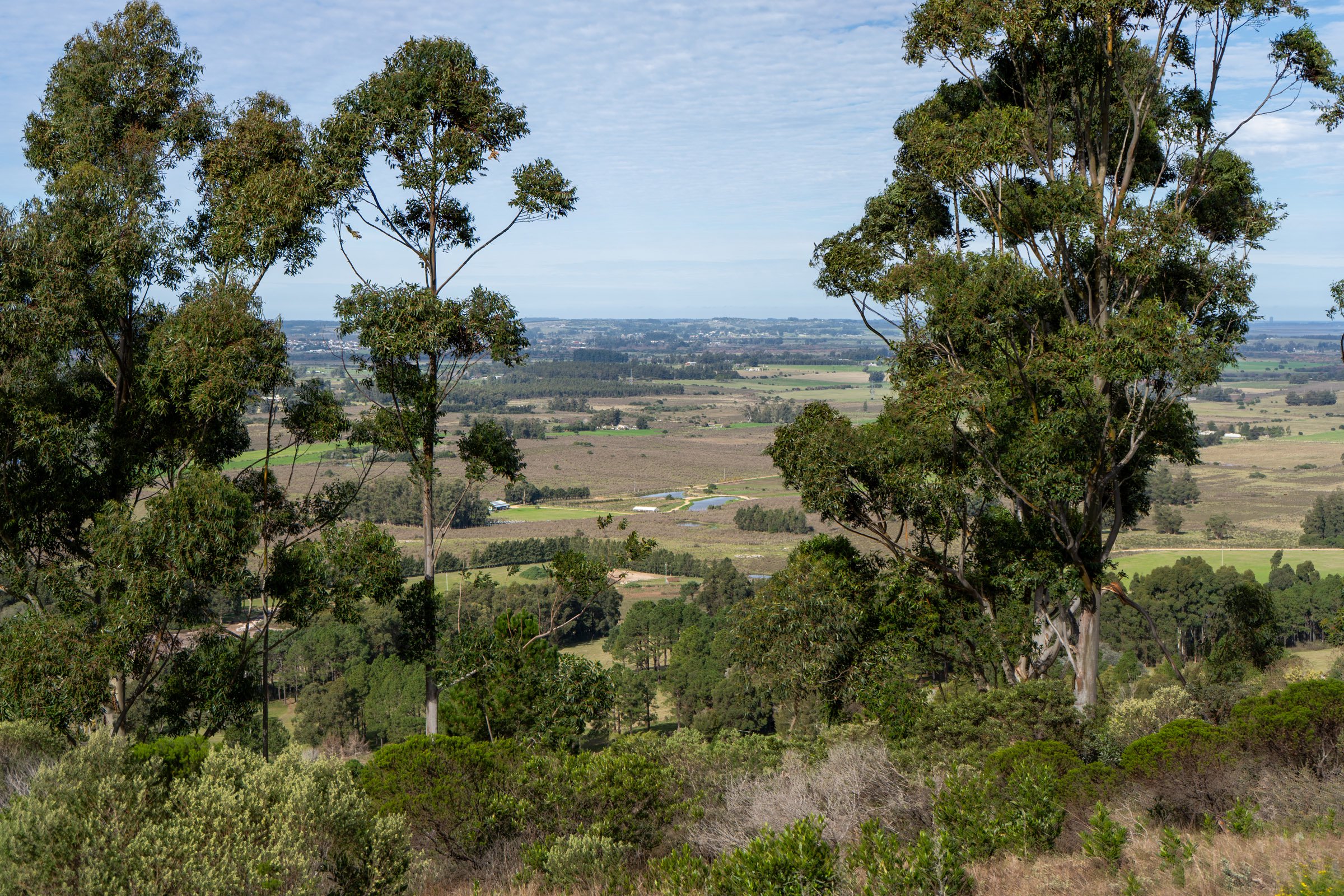  Farm in Las Vertientes, Punta Ballena. - 物件實景