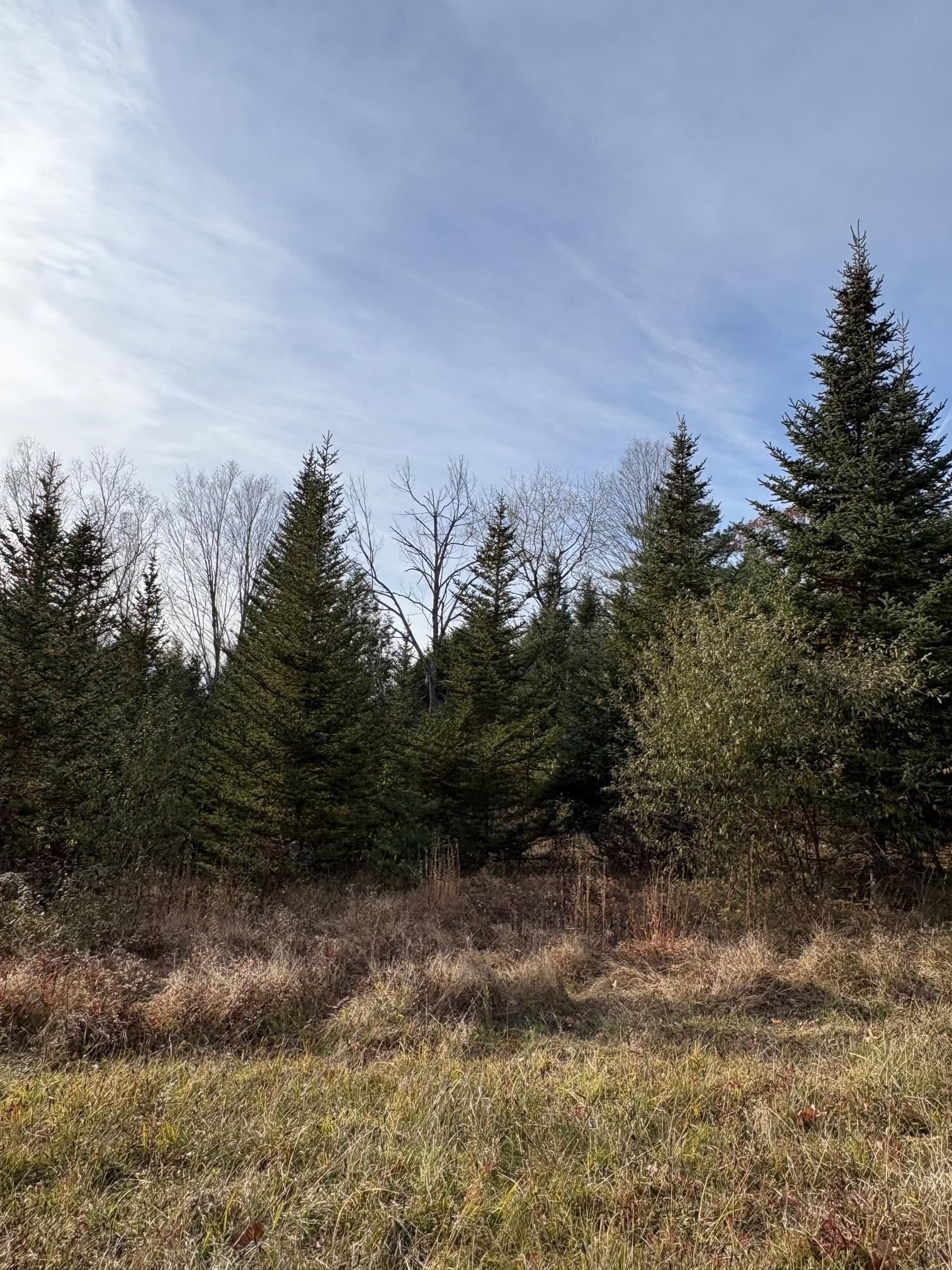 Winchester, New Hampshire, 03470, United States, 3 Bedrooms Bedrooms, ,2 BathroomsBathrooms,Residential,For Sale,2001940