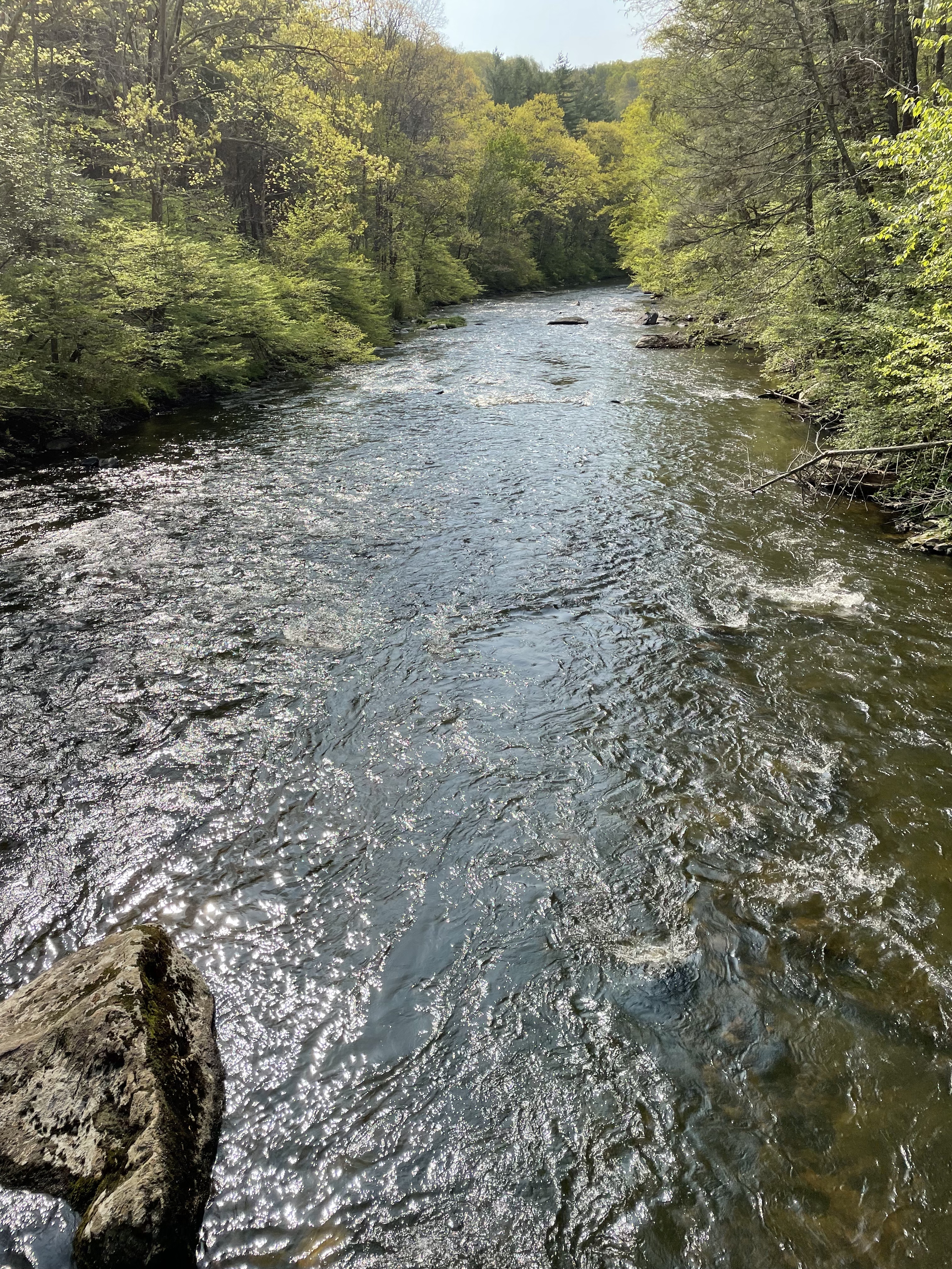  76 Blackville Road - 物件實景