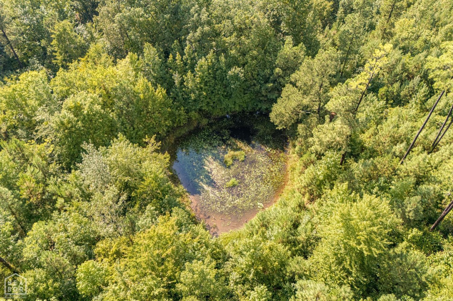 Paragould, Arkansas, 72450, United States, ,Residential,For Sale,1975234