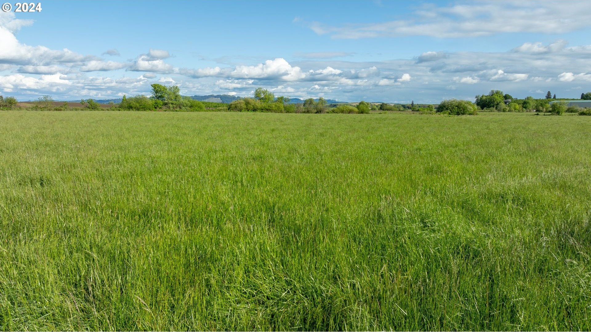 0 SW YOUNGBERG HILL RD, McMinnville, Oregon, 97128, United States, ,Land,For Sale,0 SW YOUNGBERG HILL RD,1523694