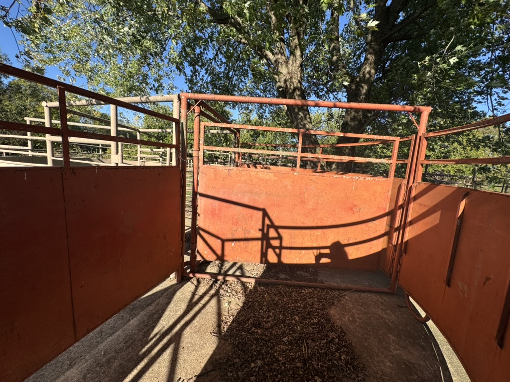 Pierce City, Missouri, 65723, United States, 2 Bedrooms Bedrooms, ,2 BathroomsBathrooms,Residential,For Sale,1987385