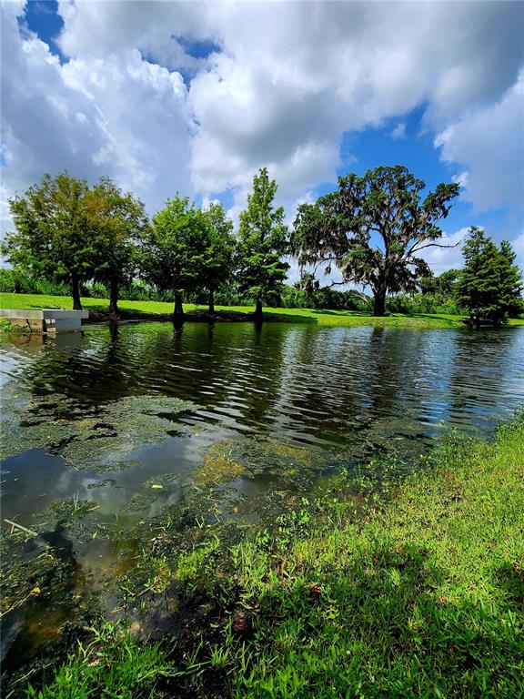 Winter Garden, Florida, 34787, United States, 5 Bedrooms Bedrooms, ,4 BathroomsBathrooms,Residential,For Sale,1868567