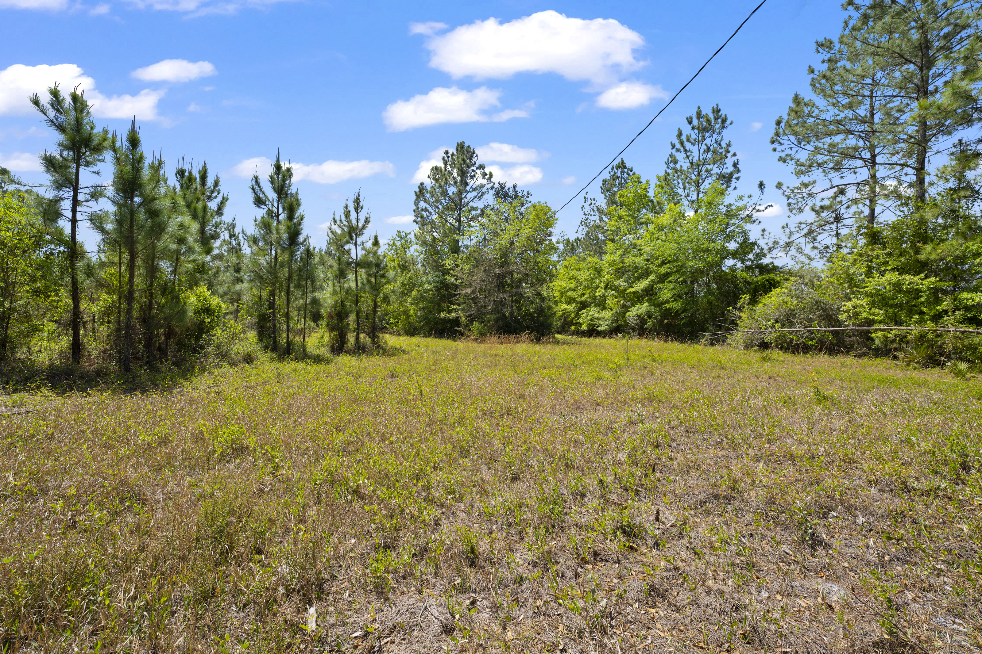  5371 Church Road, St. Augustine, FL, 32092 - 物件實景