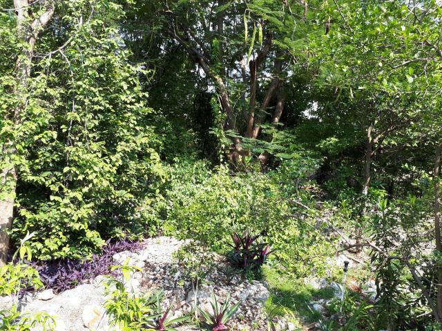 Kingston & St. Andrew, JM, 4 Bedrooms Bedrooms, ,5 BathroomsBathrooms,Residential,For Sale,1615791
