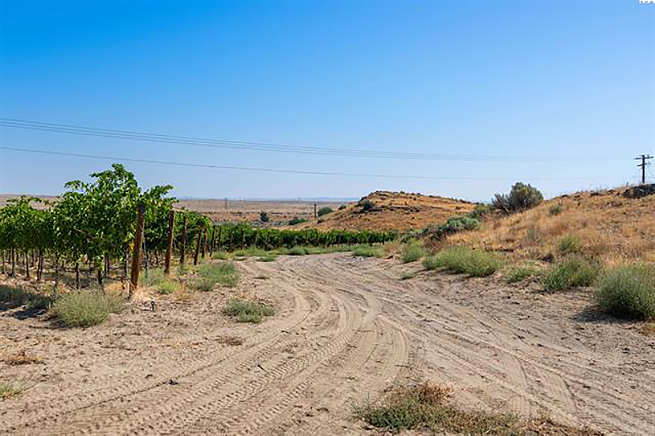  Vineyard View - 物件實景