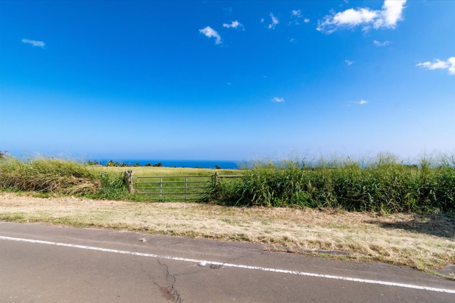 Kapaau, Hawaii, 96755, United States, ,Land,For Sale,2005975