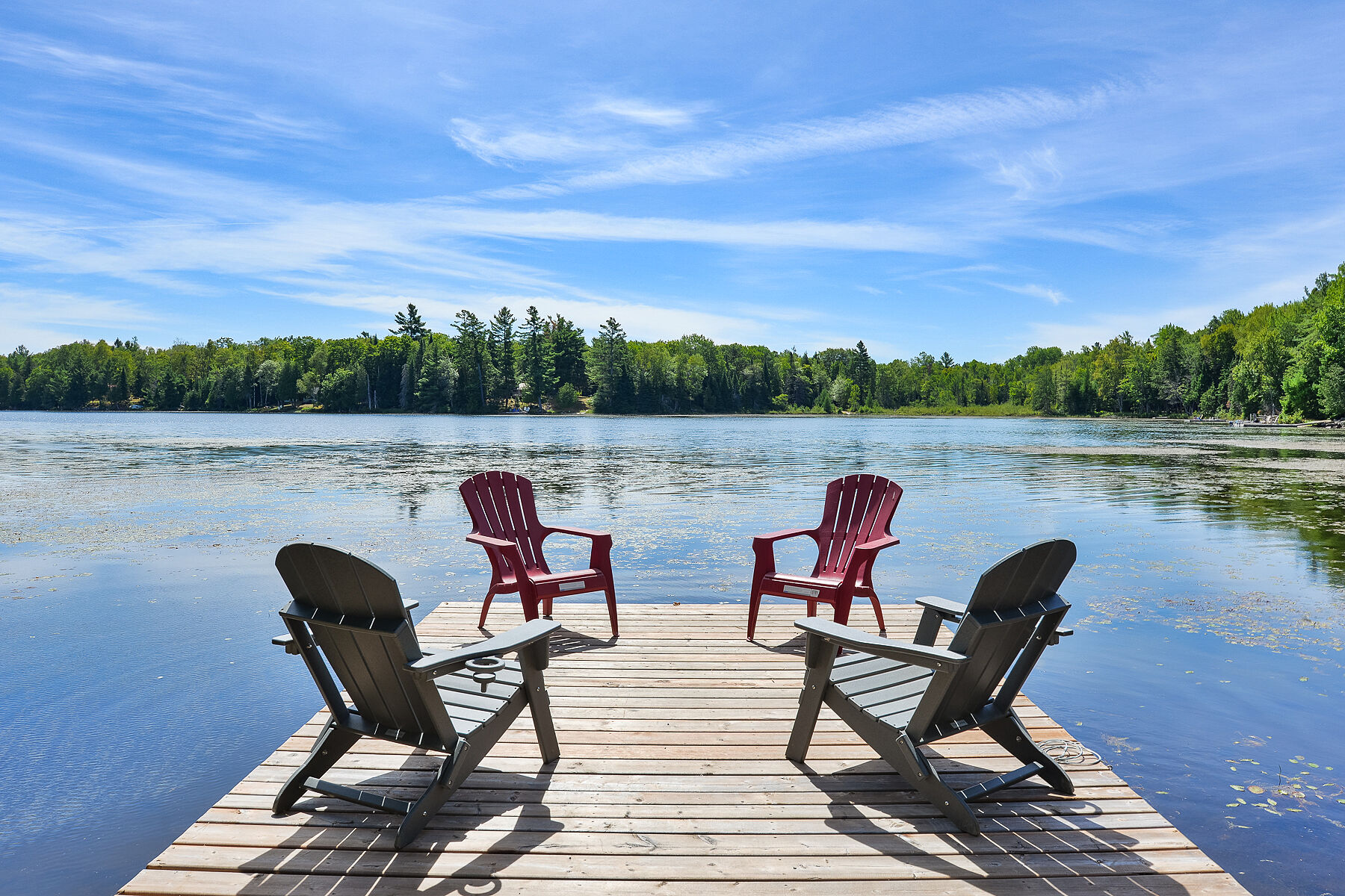  Quiet Cottage on Boyne Lake - 物件實景