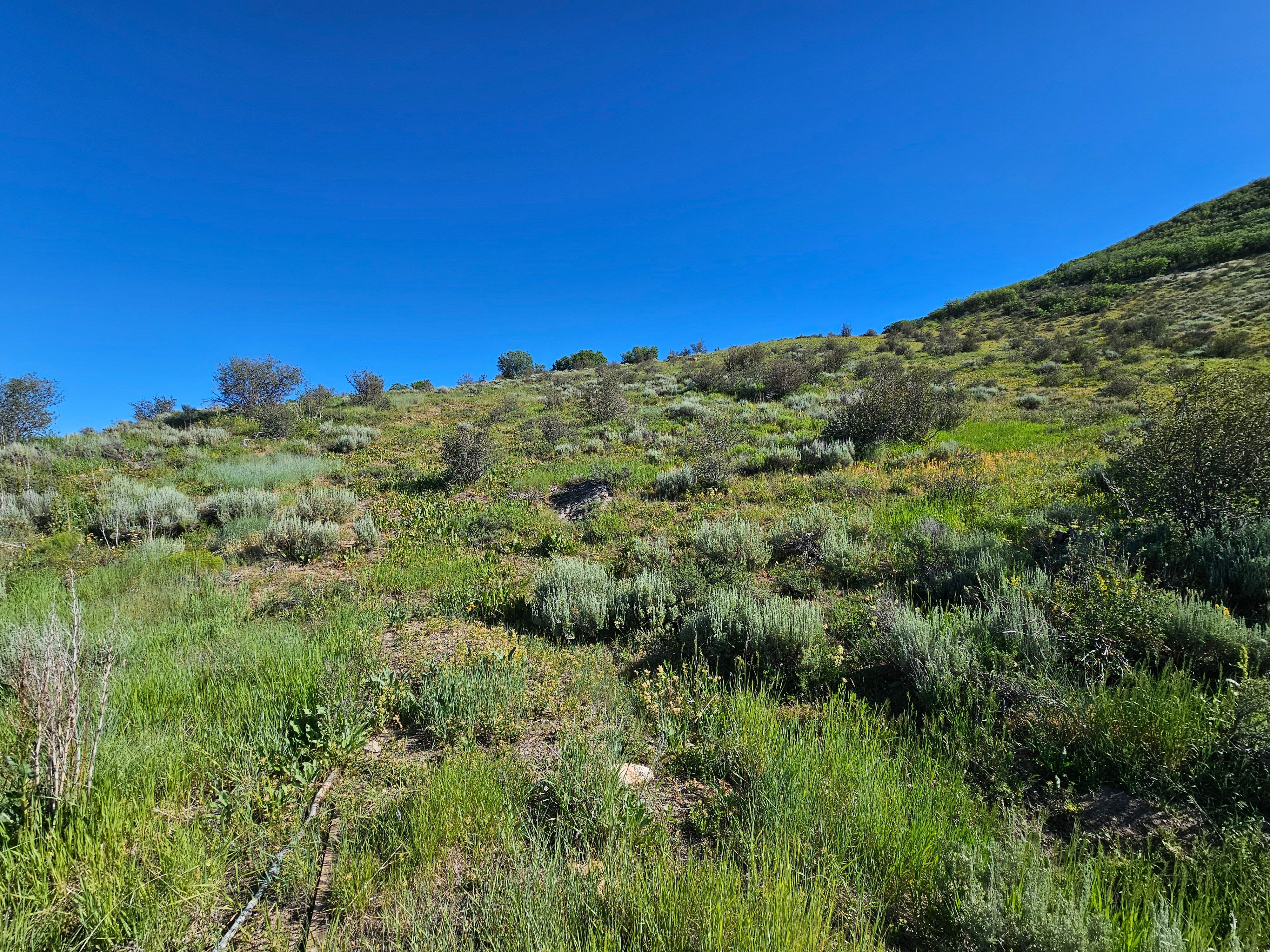  1327 Indian Trail, Steamboat Springs, CO, 80487 - 物件實景