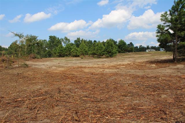 Henderson, Texas, 75652, United States, ,Land,For Sale,1978065