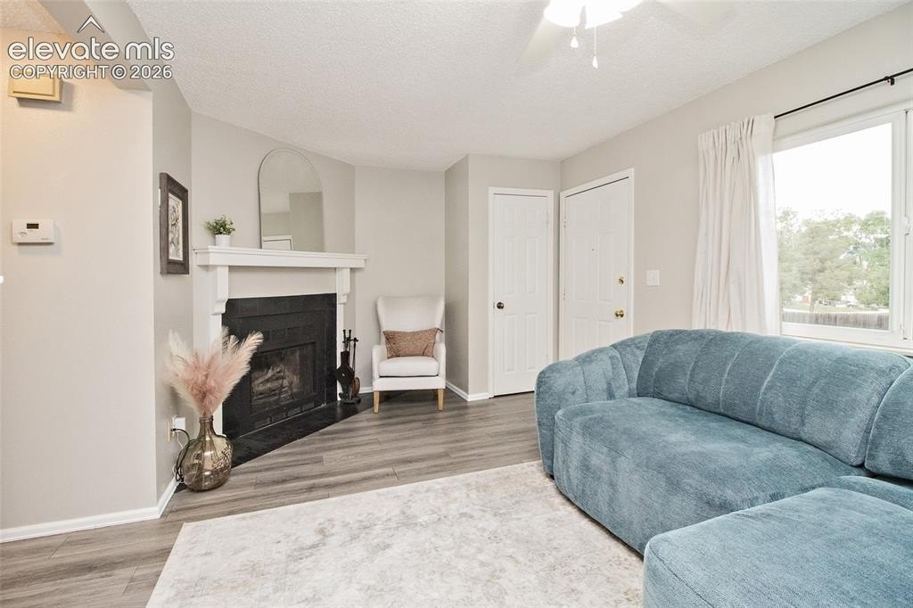 Picturesque Dr, Colorado Springs, CO 80917 #1