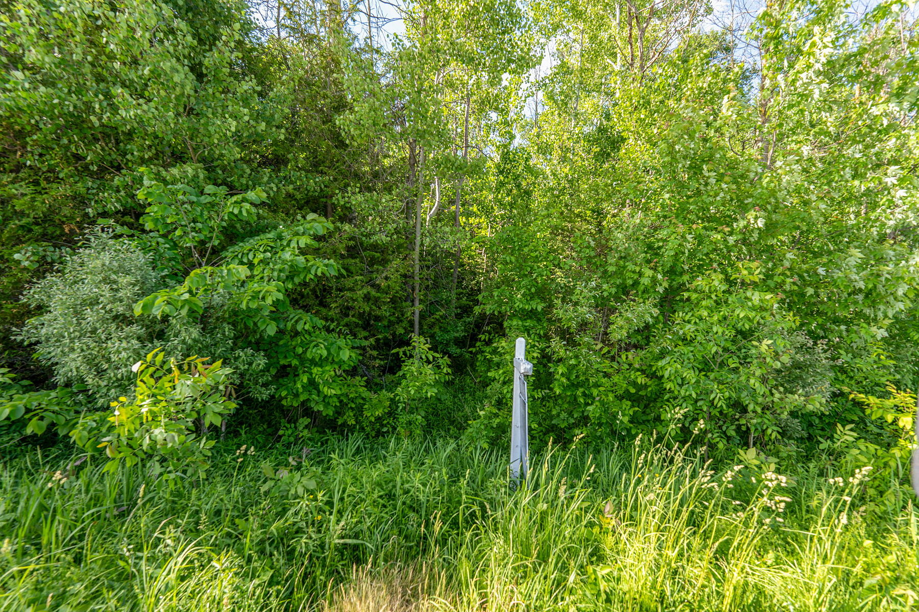  Clearview, Southern Georgian Bay - 物件實景