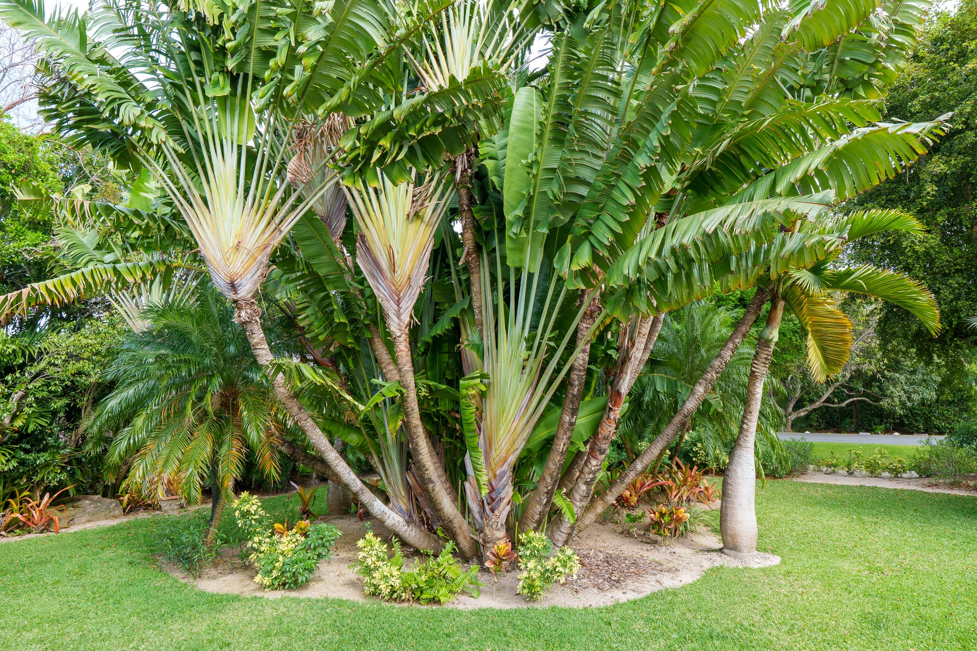  Lyford Cay Contemporary Estate - 物件實景