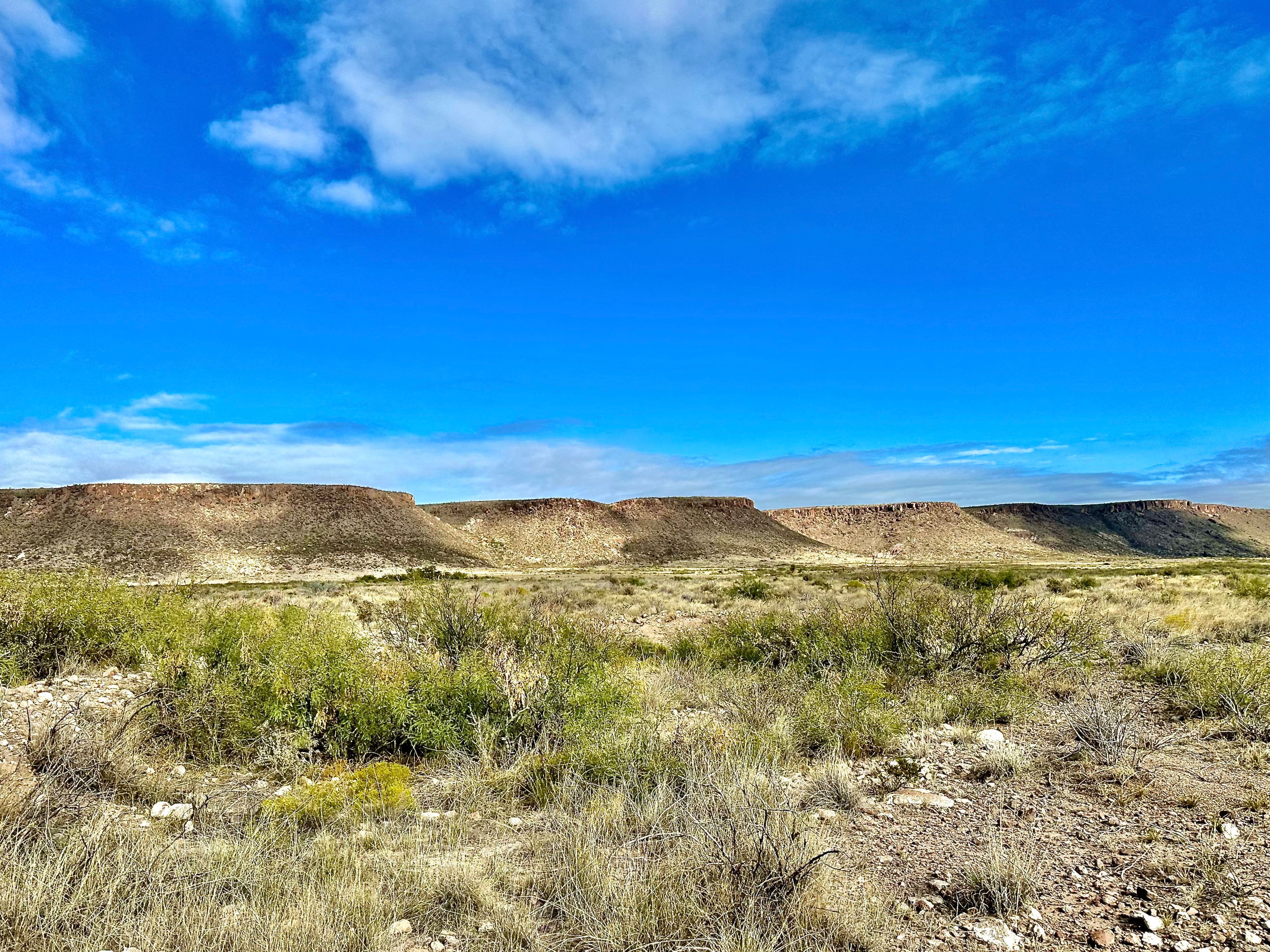  The Alamito Ranch in Presidio County - 物件實景