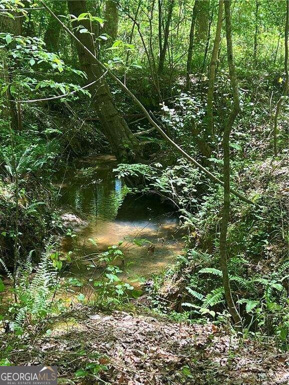 Waleska, Georgia, 30183, United States, ,Land,For Sale,1929807