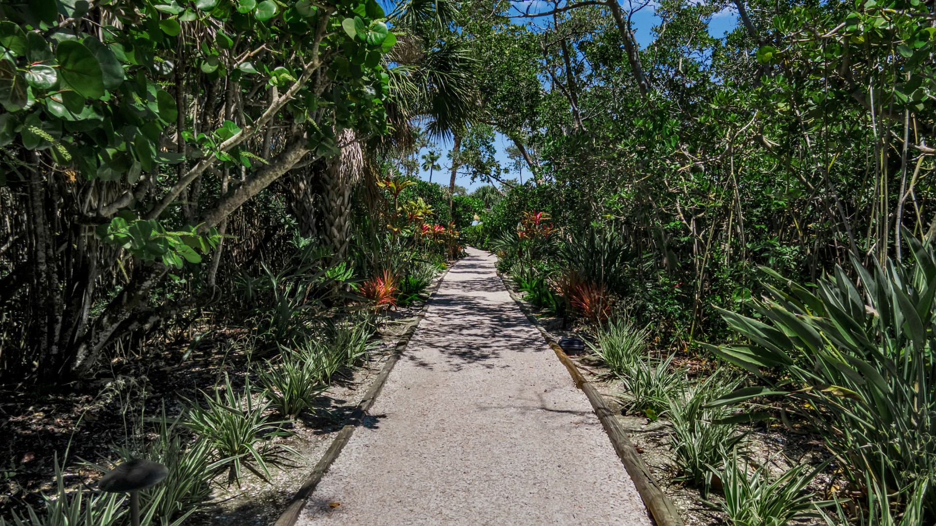 Longboat Key, Florida, 34228, United States, 2 Bedrooms Bedrooms, ,3 BathroomsBathrooms,Residential,For Sale,1923234