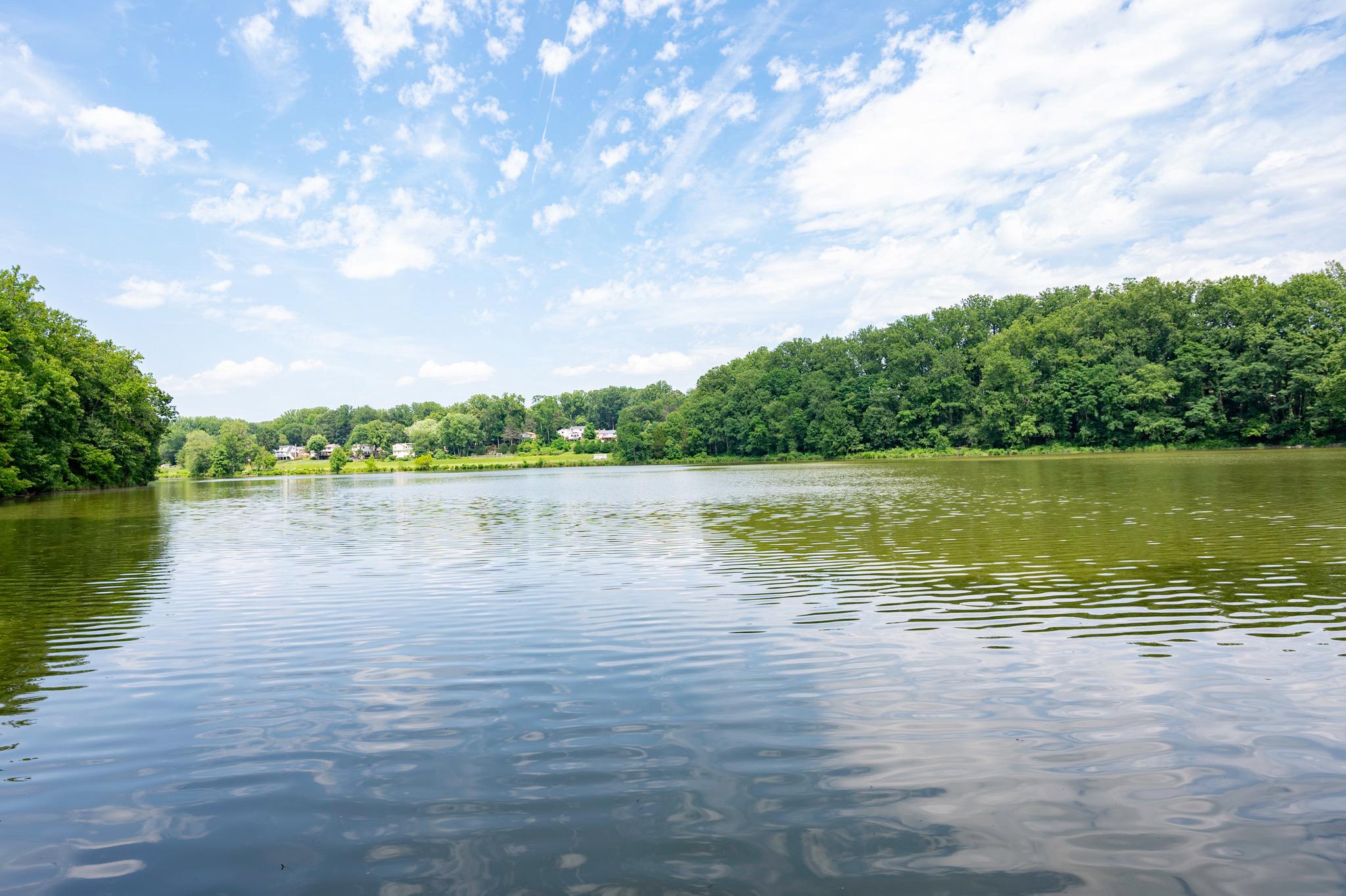  6830 Bluecurl Circle, Springfield, VA, 22152 - 物件實景
