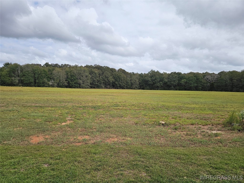 New Brockton, Alabama, 36351, United States, 4 Bedrooms Bedrooms, ,3 BathroomsBathrooms,Residential,For Sale,1979023