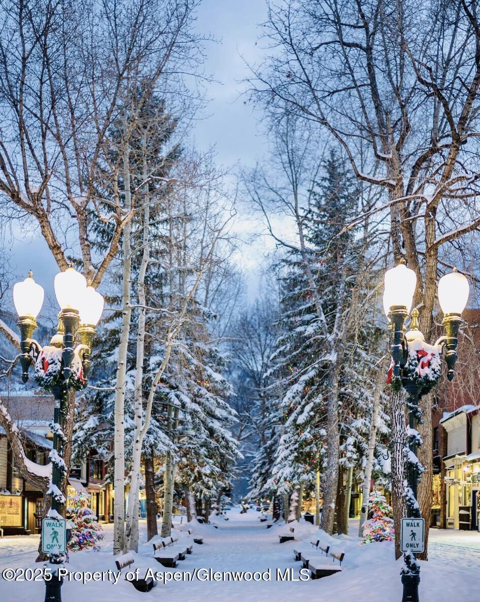 Aspen, Colorado, 81611, United States, 2 Bedrooms Bedrooms, ,2 BathroomsBathrooms,Residential,For Sale,1867403