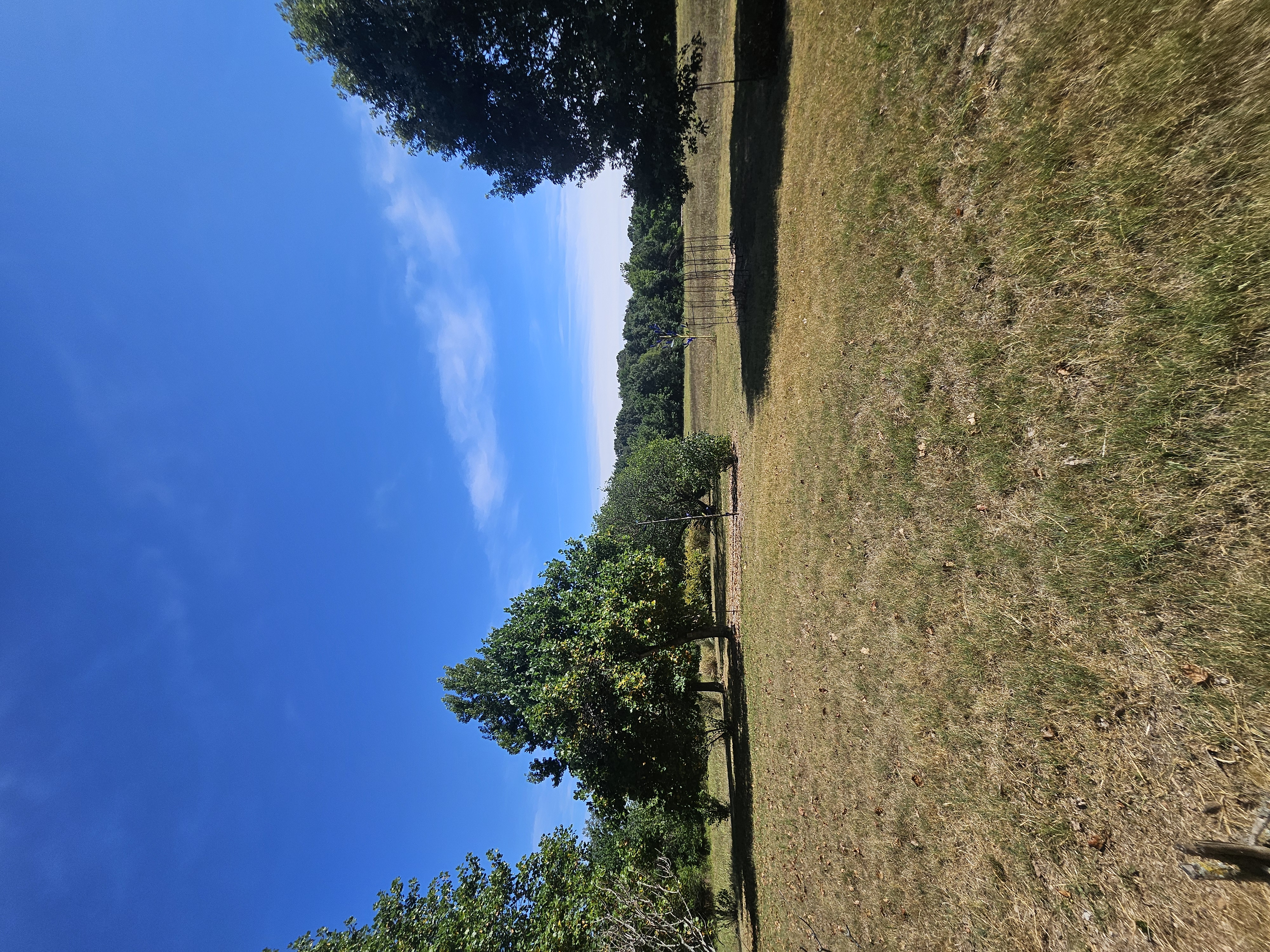 Pierce City, Missouri, 65723, United States, 5 Bedrooms Bedrooms, ,3 BathroomsBathrooms,Residential,For Sale,1975319