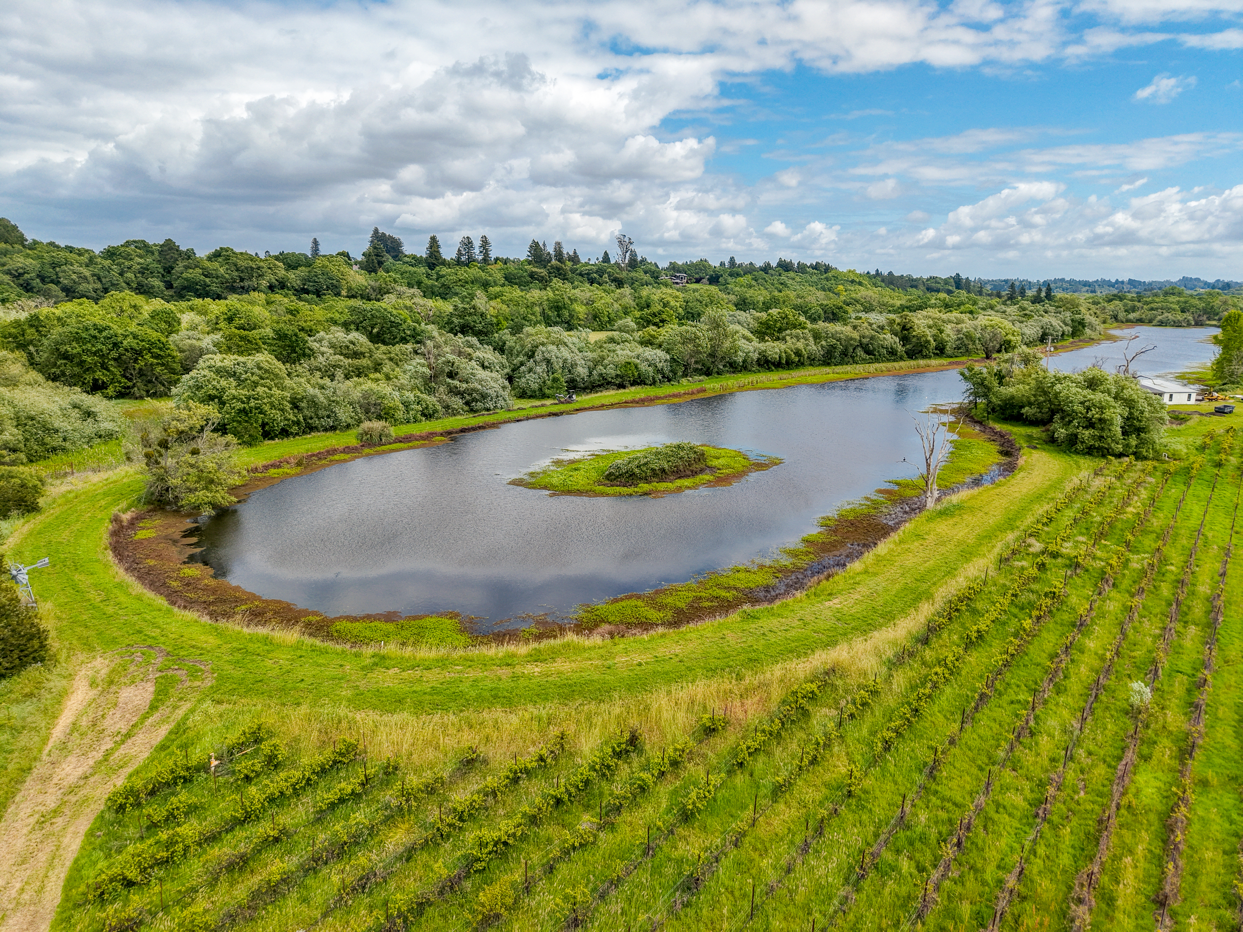  9700 Mill Station Road, Sebastopol, CA 95472 - 物件實景