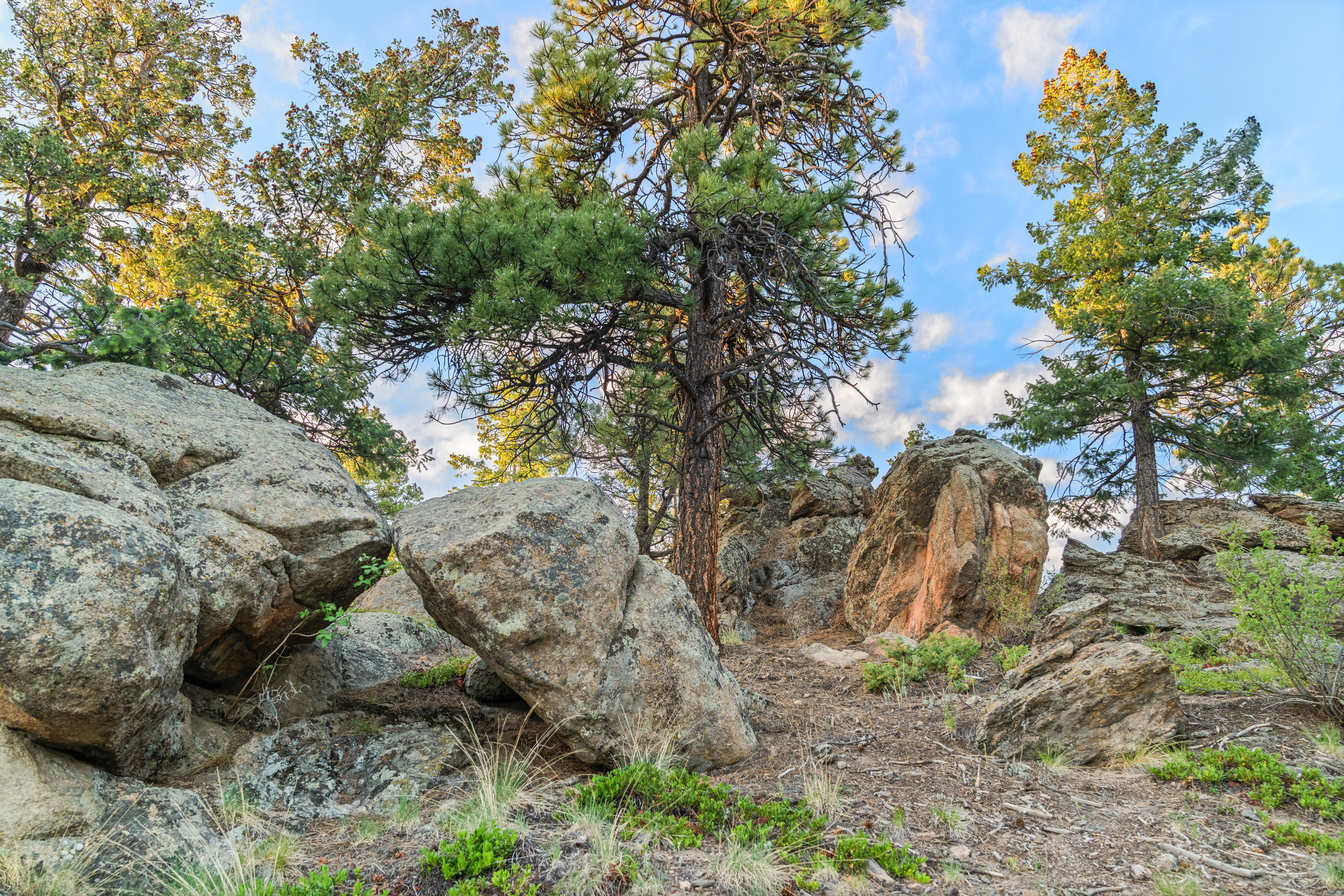  Acreage Available in Evergreen