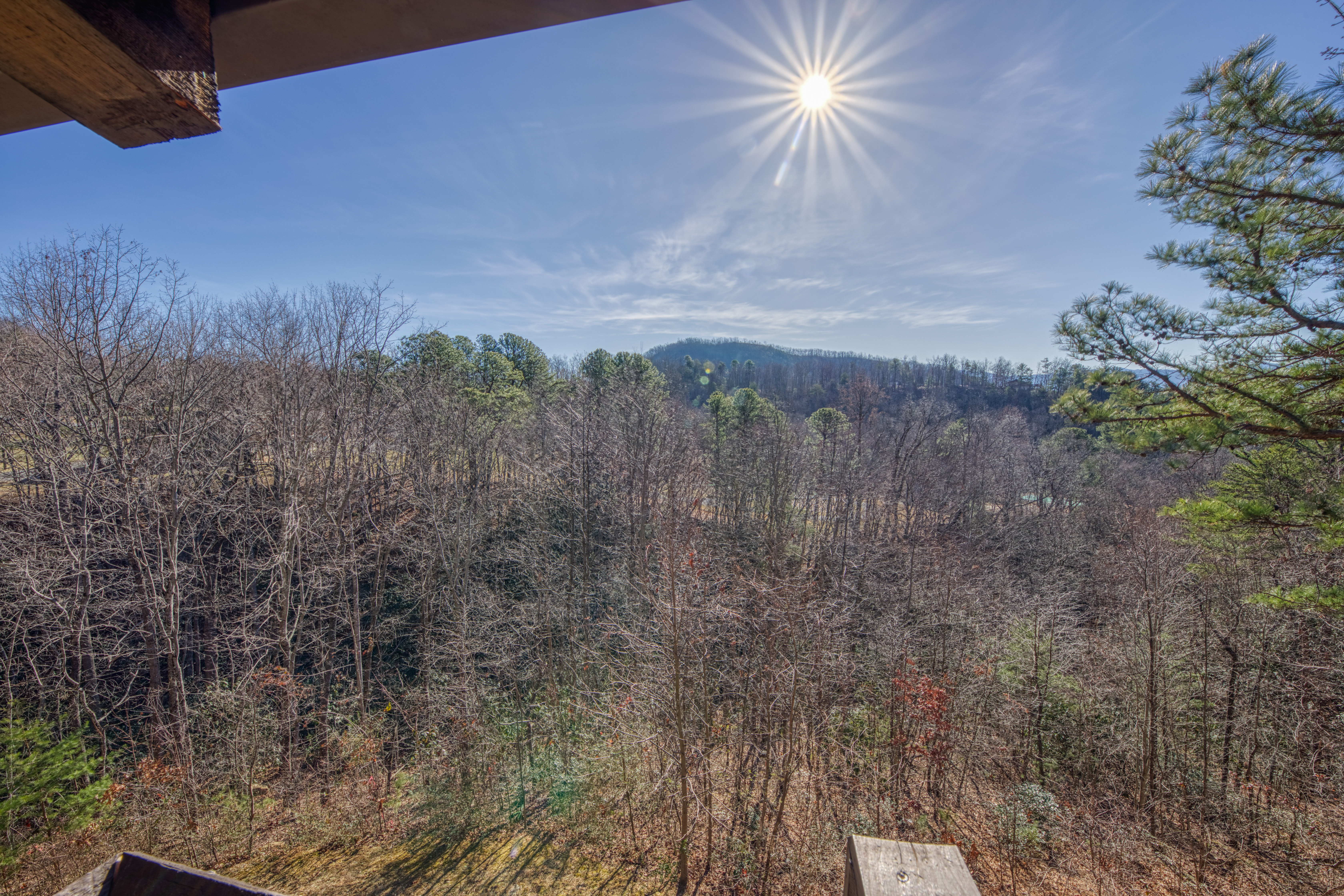  1081 Cove Road, Sevierville, TN 37876 - 物件實景