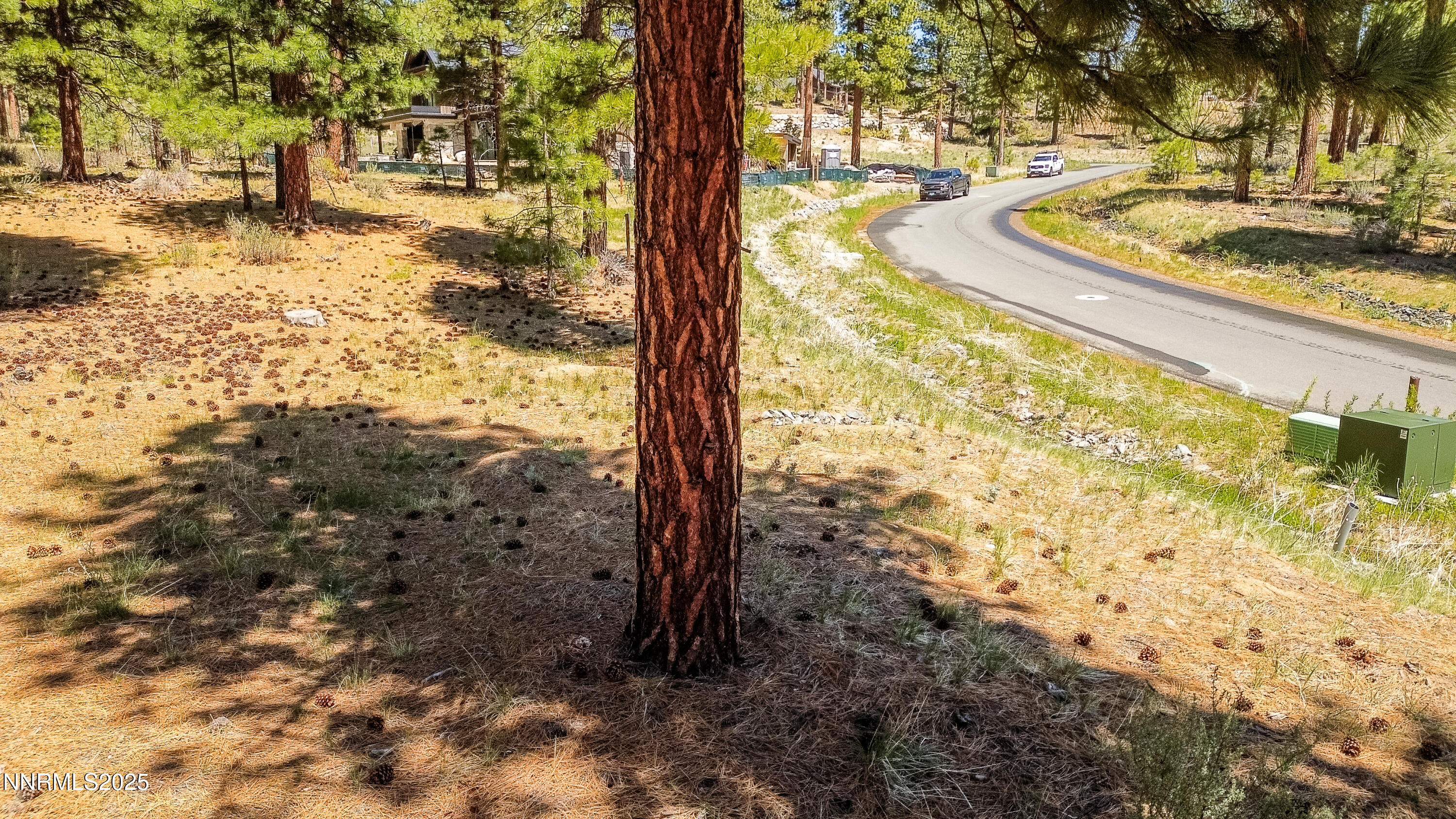 Carson City, Nevada, 89705, United States, ,Land,For Sale,1848376