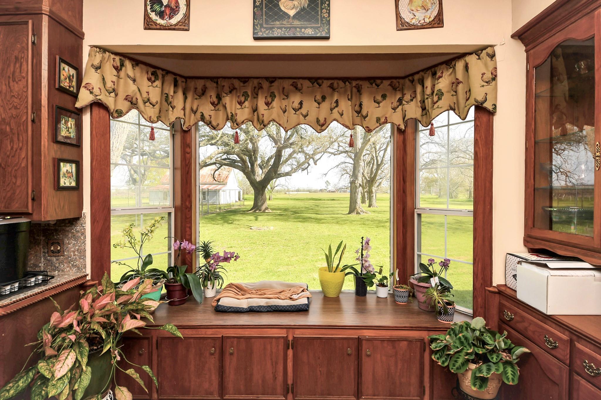 Wallis, Texas, 77485, United States, 3 Bedrooms Bedrooms, ,4 BathroomsBathrooms,Residential,For Sale,1928223