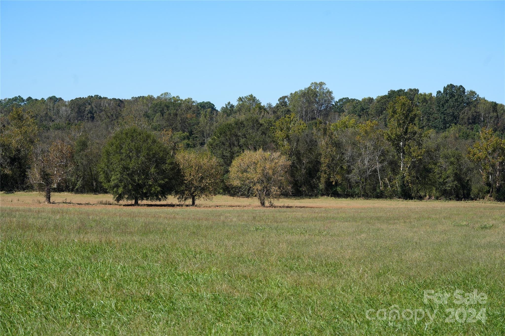 Pacolet Road, Landrum, South Carolina, 29356, United States, ,Residential,For Sale,Pacolet Road,1640585