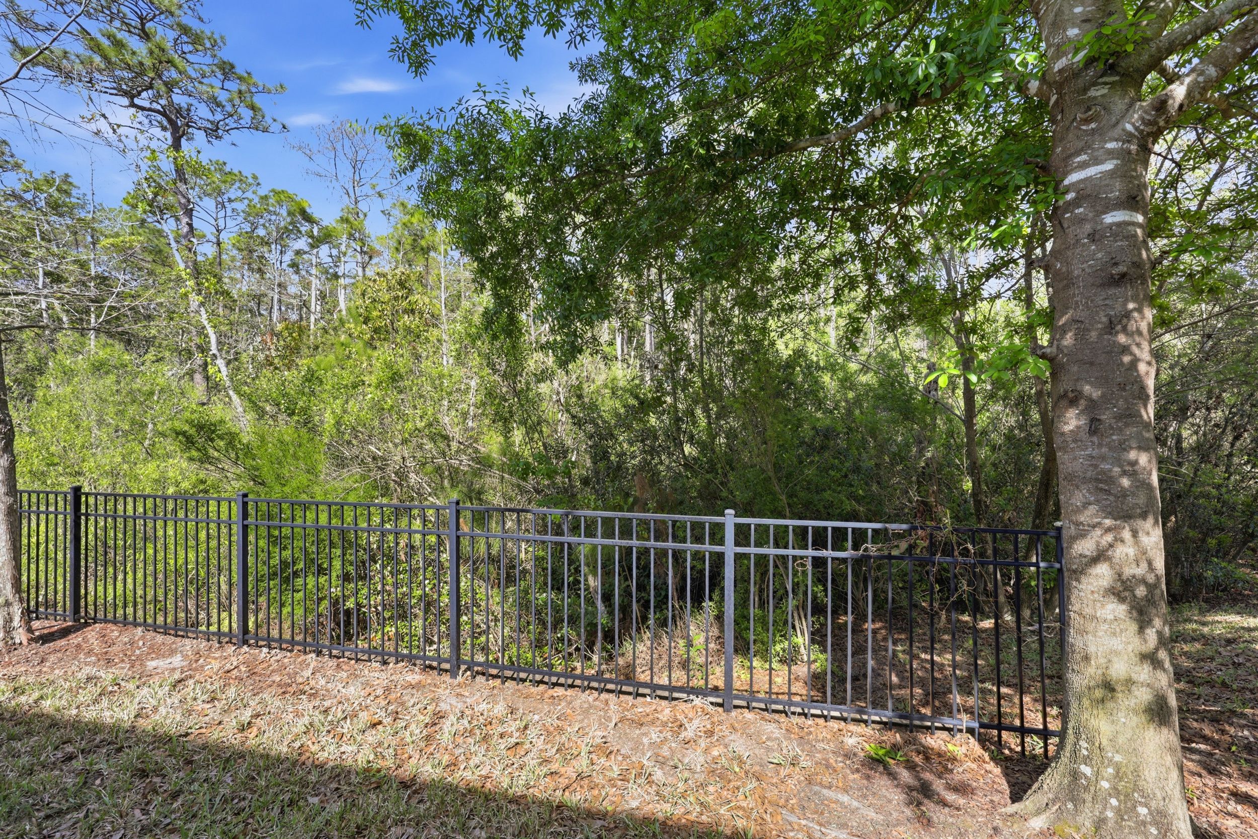  202 Pindo Palm Drive, Ponte Vedra, FL, 32081 - 物件實景