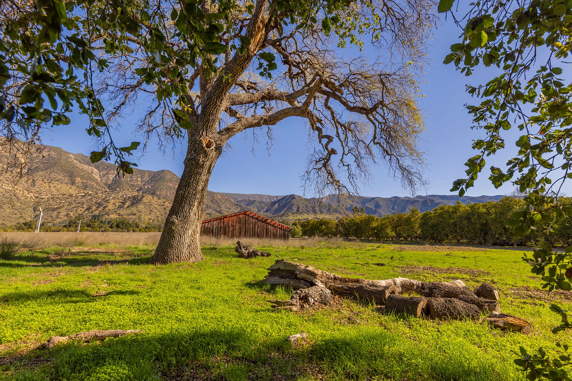  1201 Grand Avenue, Ojai, CA 93023 - 物件實景