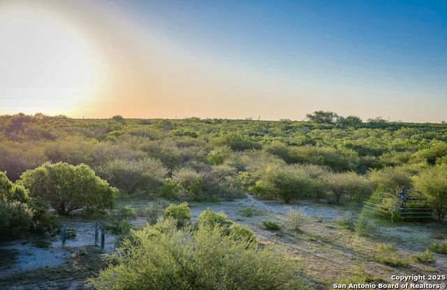 Beeville, Texas, 78102, United States, ,Land,For Sale,1987923