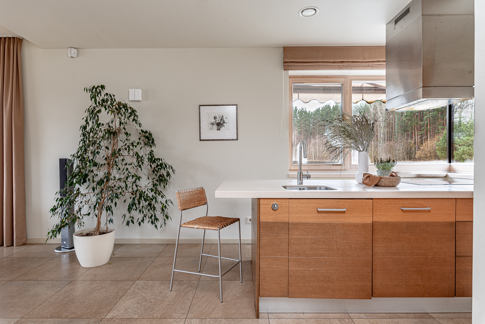  A spacious lakeshore residence near Druskininkai - 物件實景