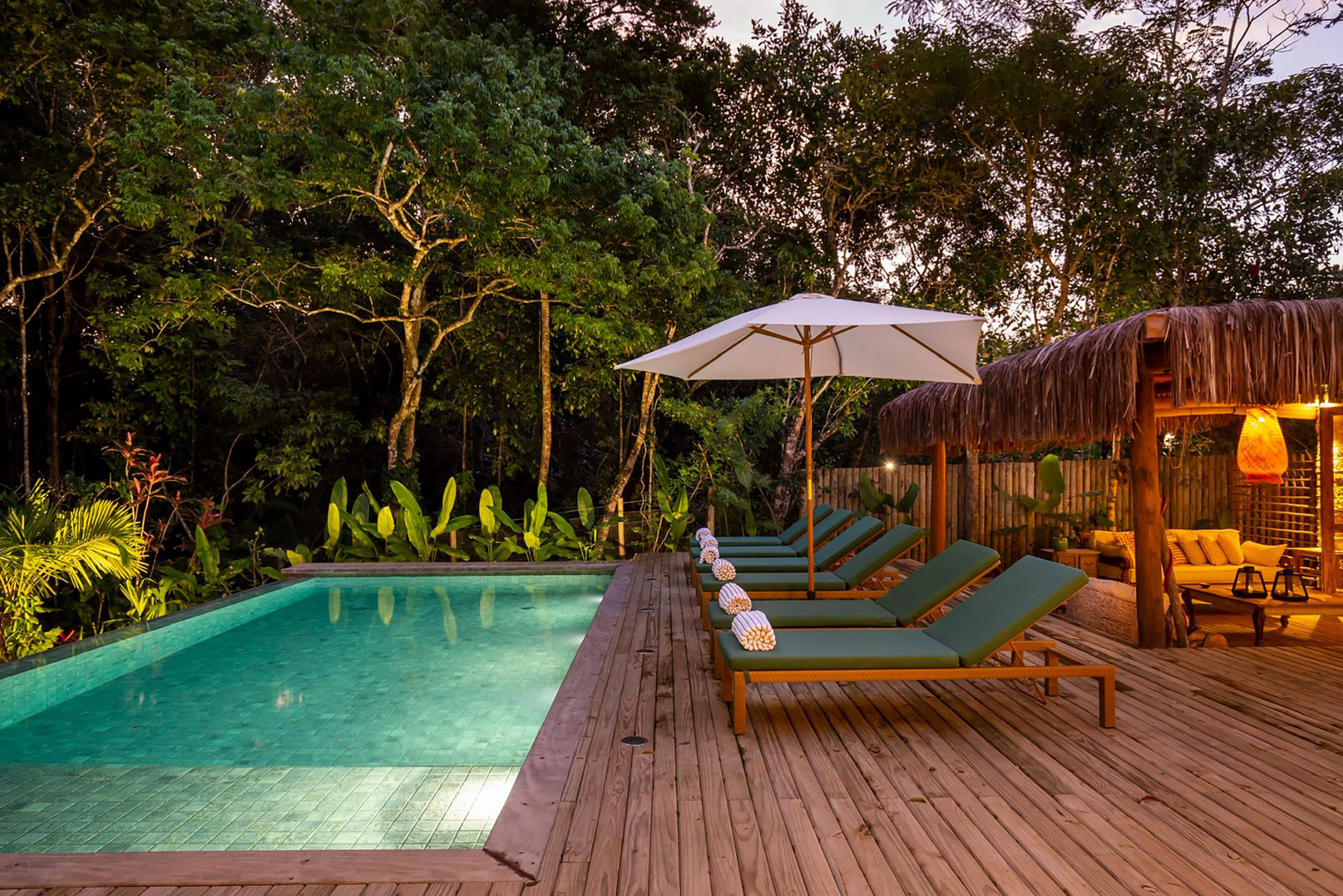  Refined residence with sophisticated interiors and native forest views - 物件實景
