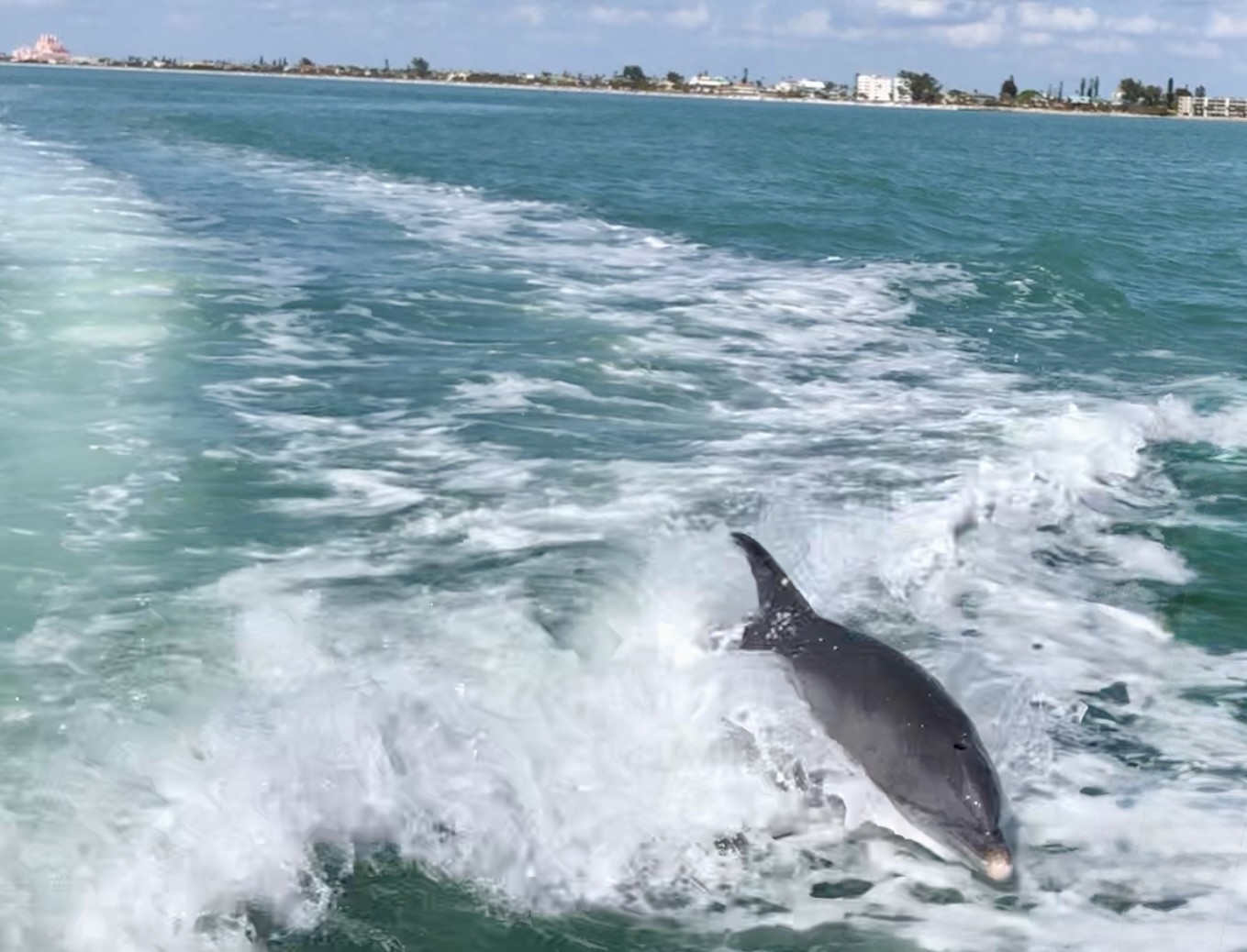 St Petersburg, Florida, 33715, United States, 3 Bedrooms Bedrooms, ,3 BathroomsBathrooms,Residential,For Sale,1983412