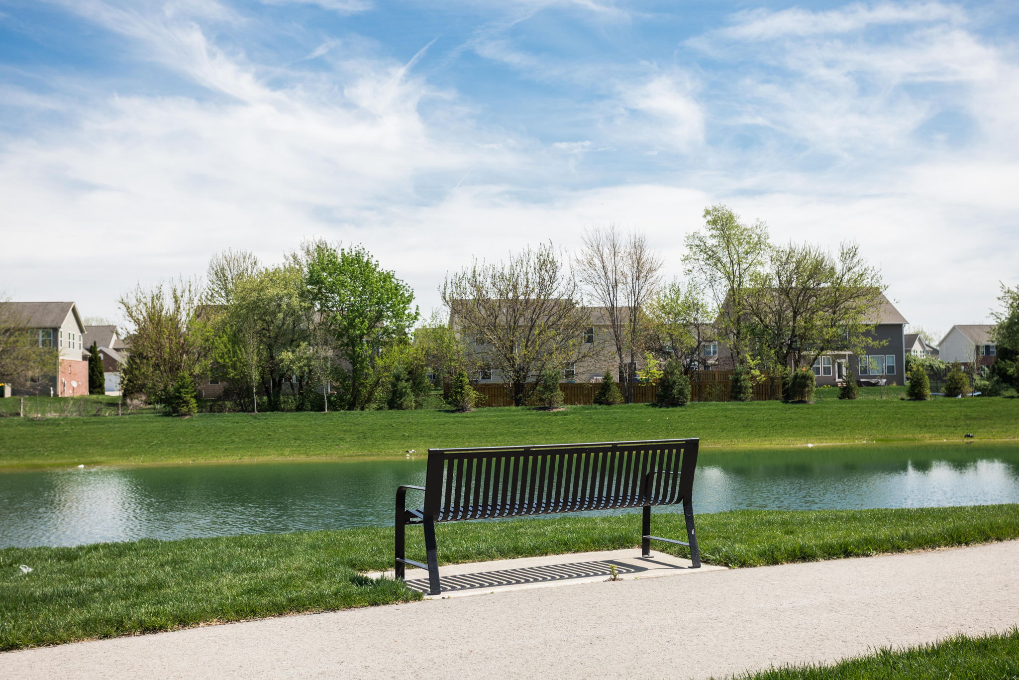  Standout Townhouse with Pond View in Zionsville - 物件實景