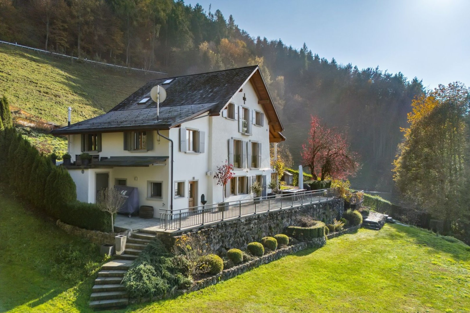 Charming home with an exceptional view of Lake Geneva - 物件實景